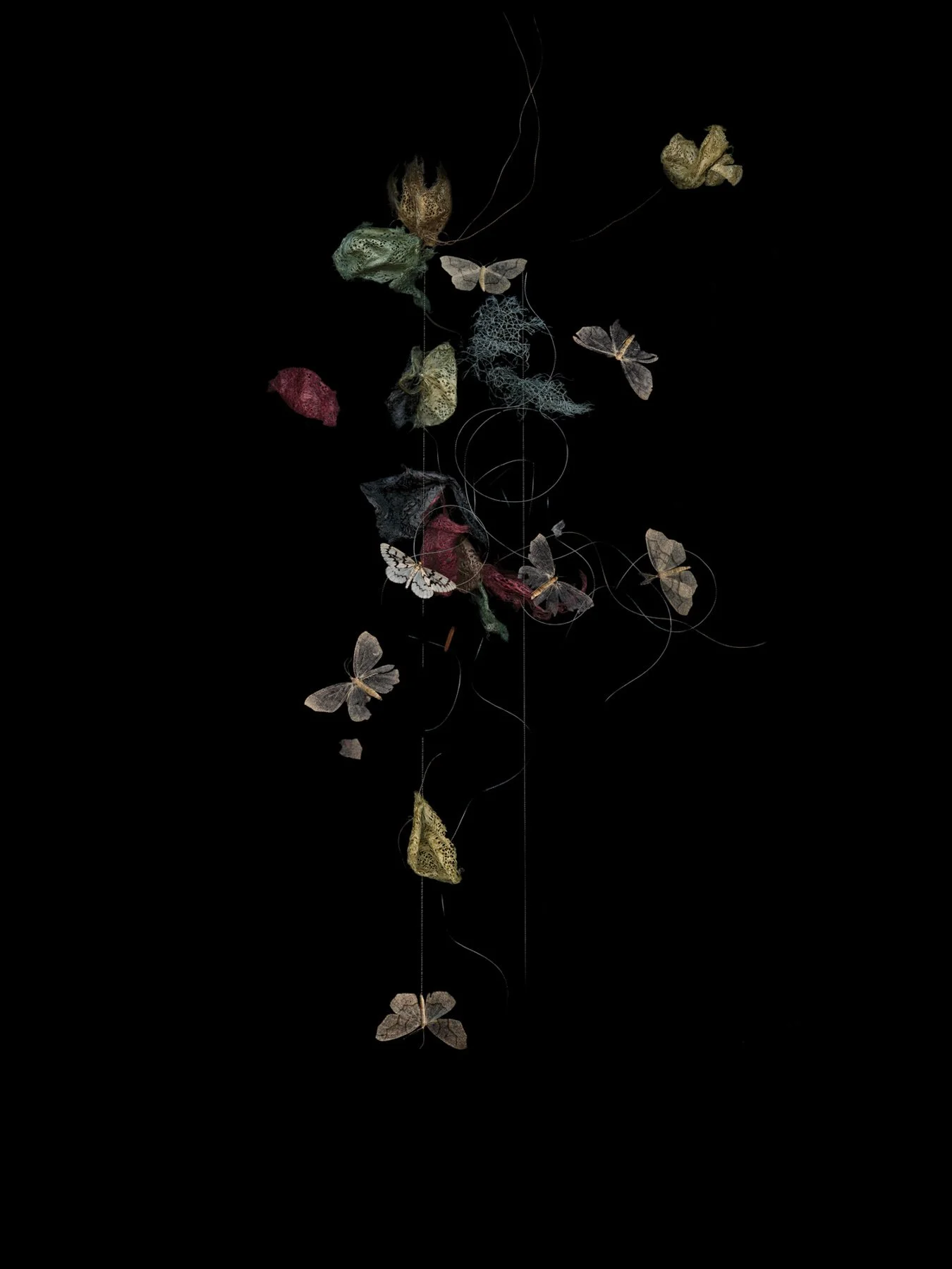 Aptitude and Amplitude
Digital Composite Archival Ink Pigment Print
Editions of 3/10/10 +2AP 
at 56x42, 40x30, 28x21 inches