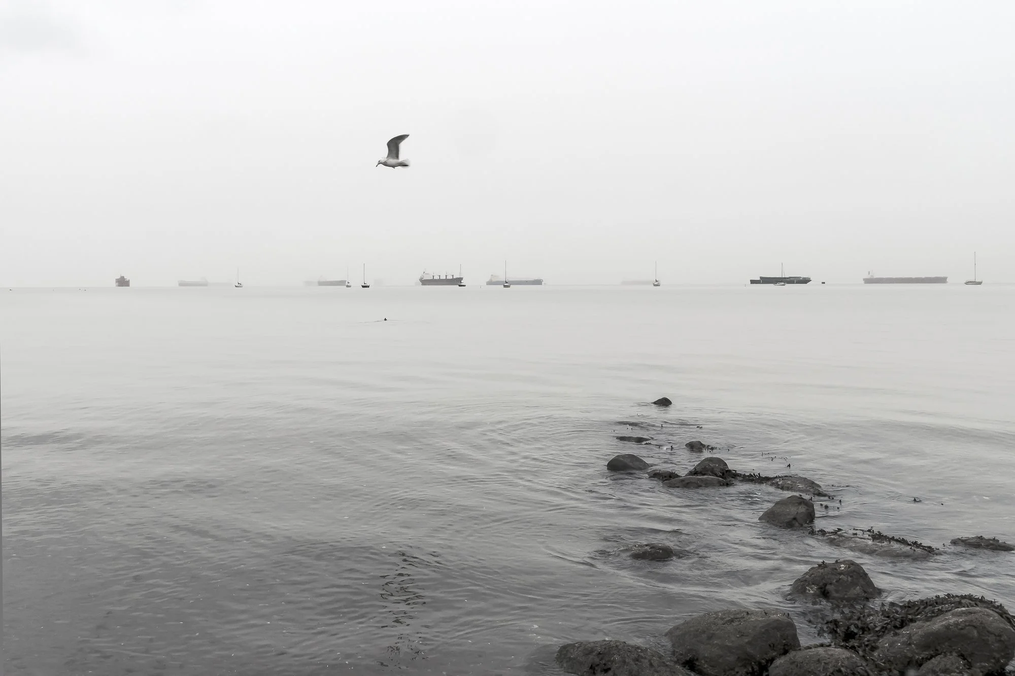 Fly Now
Archival Ink Pigment Print
Editions of 3/10/10 +2AP at
28x42, 20x30, 16x24 inches
