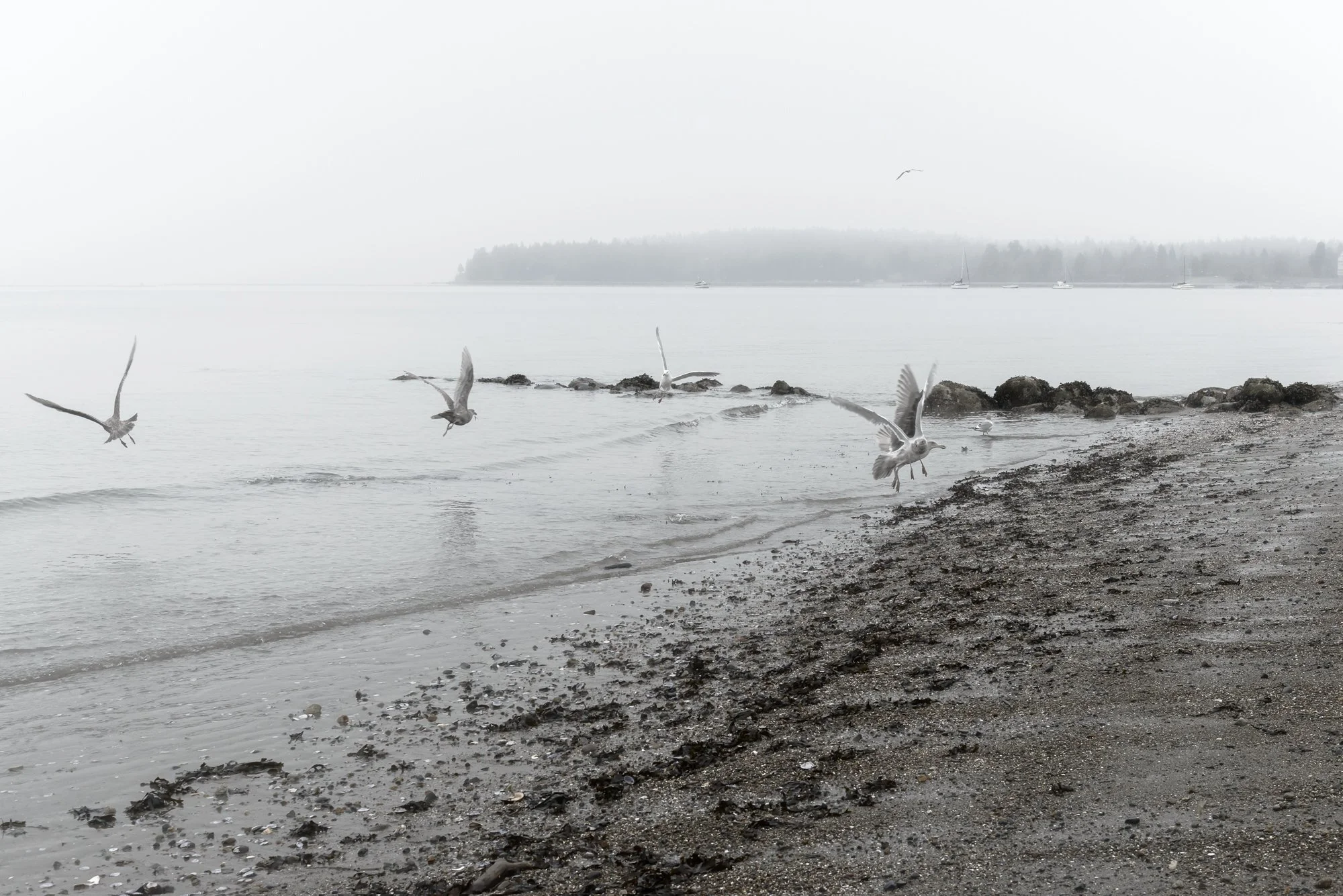 Air Time
Archival Ink Pigment Print
Editions of 3/10/10 +2AP at
28x42, 20x30, 16x24 inches