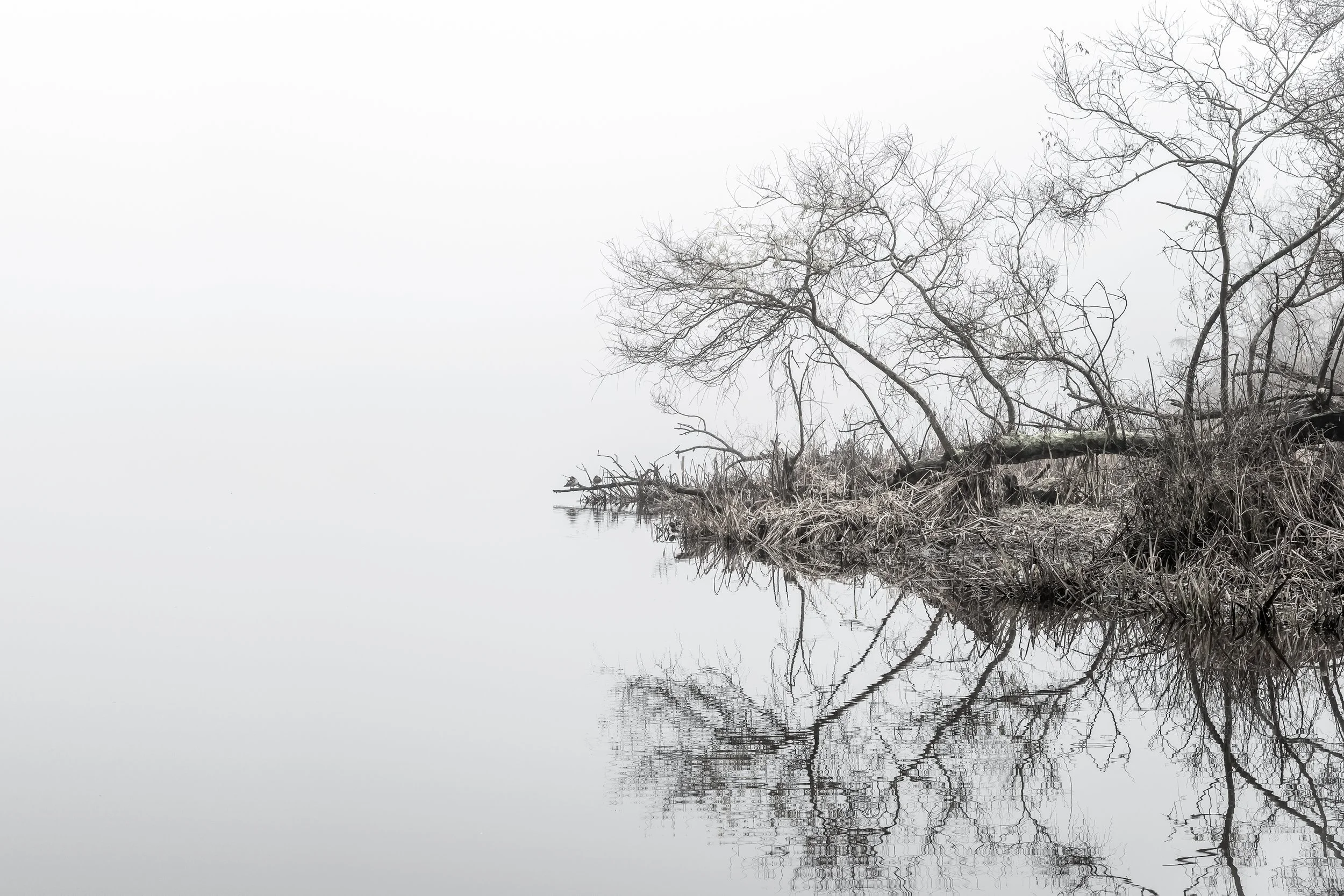 Past Reflection
Archival Ink Pigment Print
Editions of 3/10/10 +2AP at
28x42, 20x30, 16x24 inches
