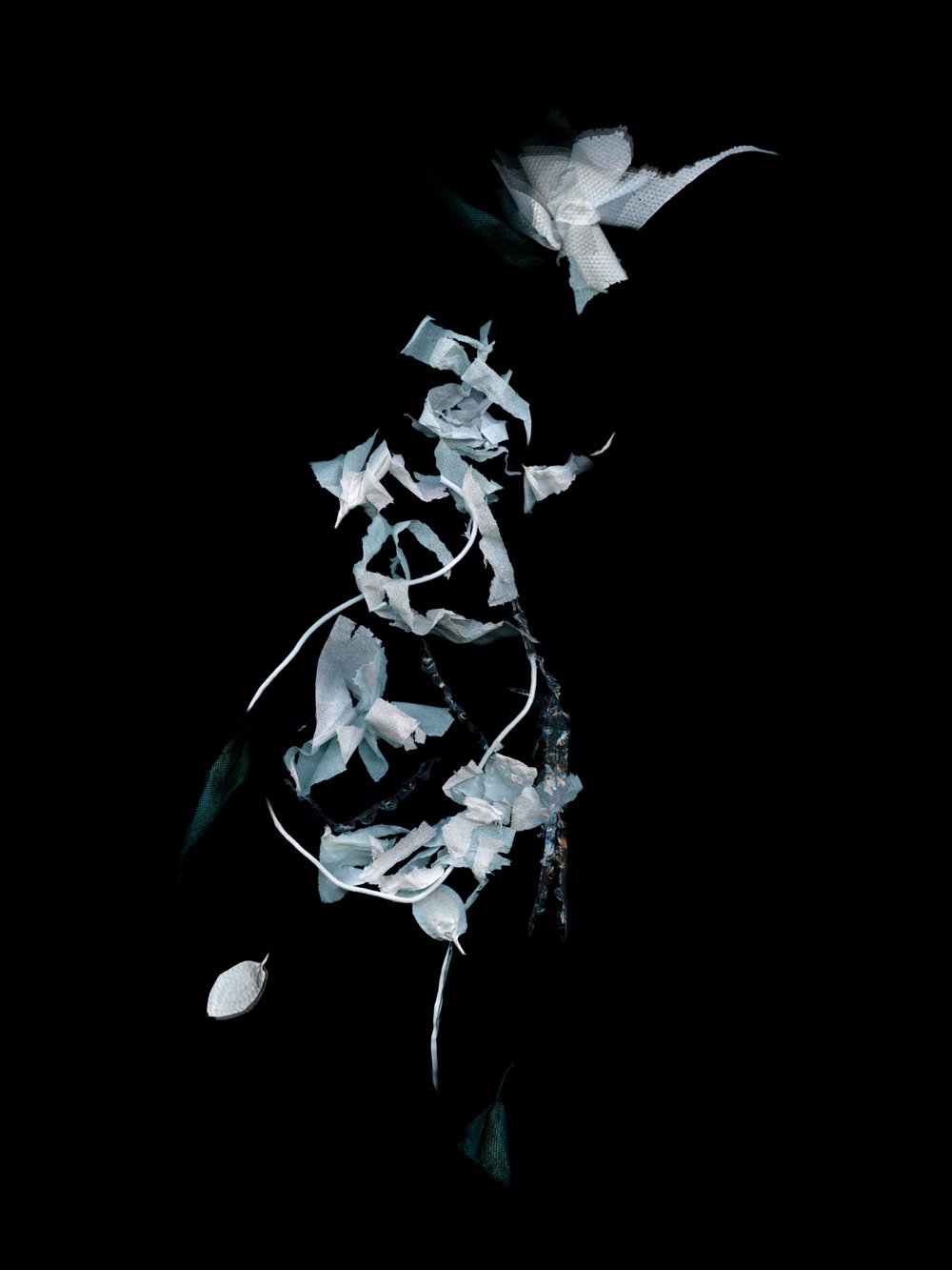 Keepsake
Digital Composite Archival Ink Pigment Print
Editions of 3/10/10 +2AP at
56x42, 40x30, 28x21 inches
