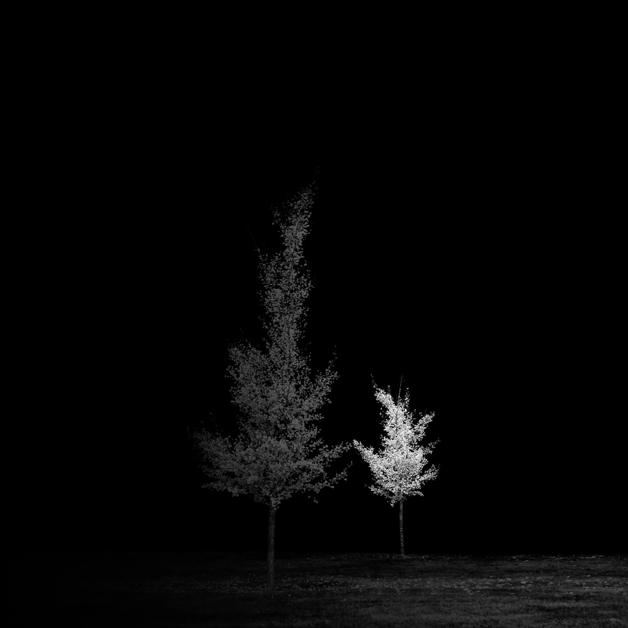 1_Unbound Hold_2018_Photograph_24x24inches_Editionsof10.jpg