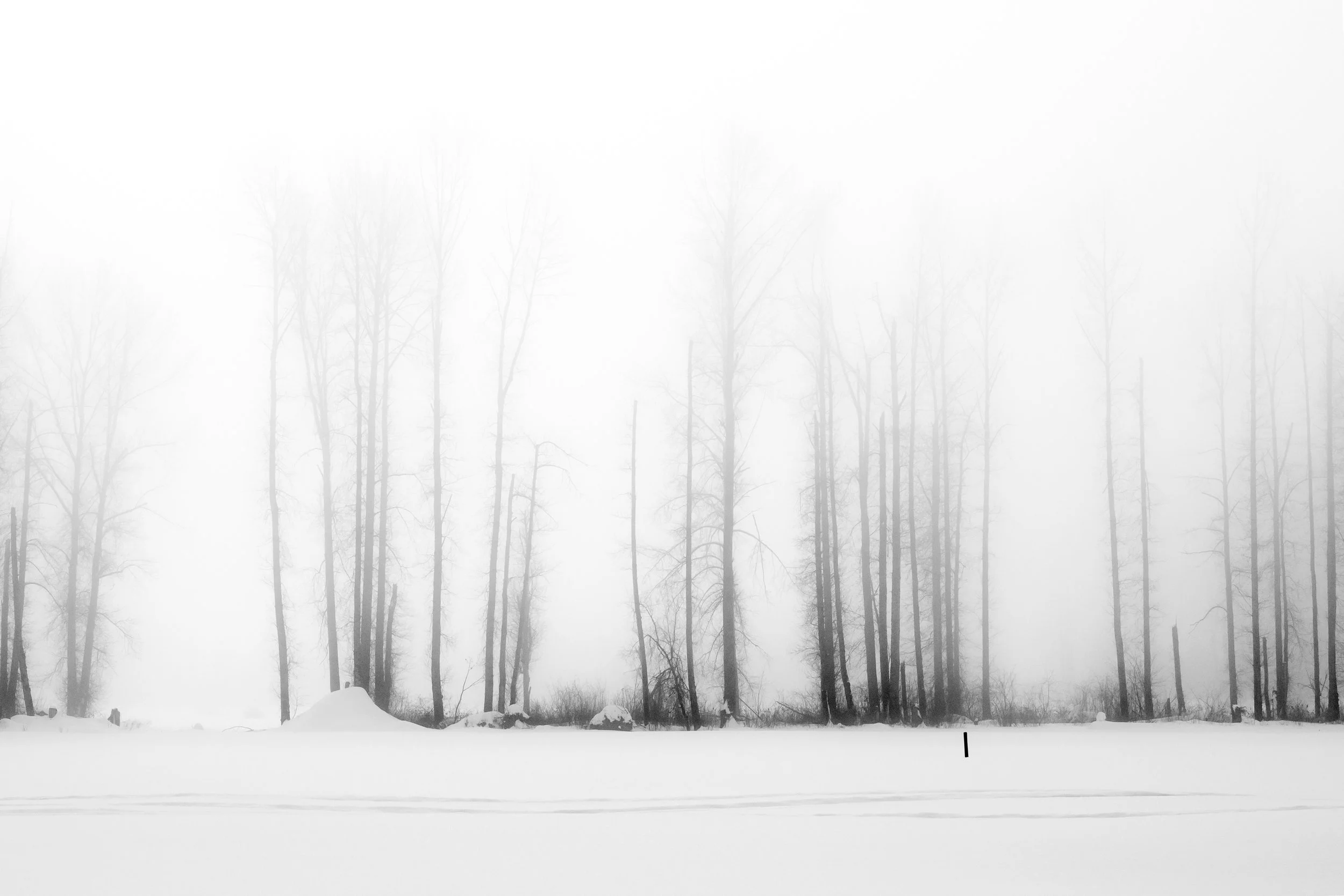 The Space Between
Archival Ink Pigment Print
Editions of 3/10/10 +2AP at
28x42, 20x30, 16x24 inches

