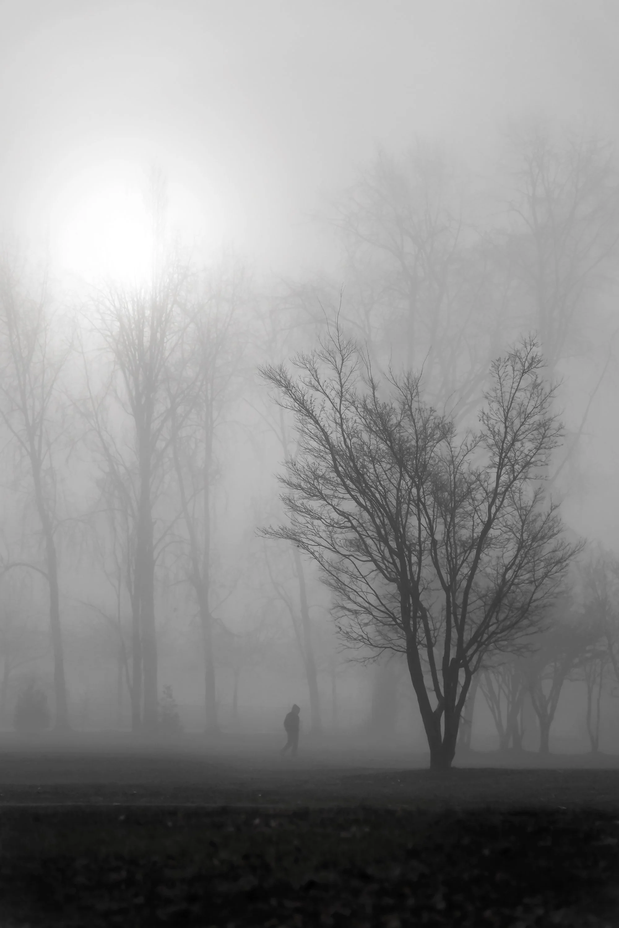 Whisper
Archival Ink Pigment Print
Editions of 3/10/10 +2AP at
42x28, 30x21, 24x16 inches
