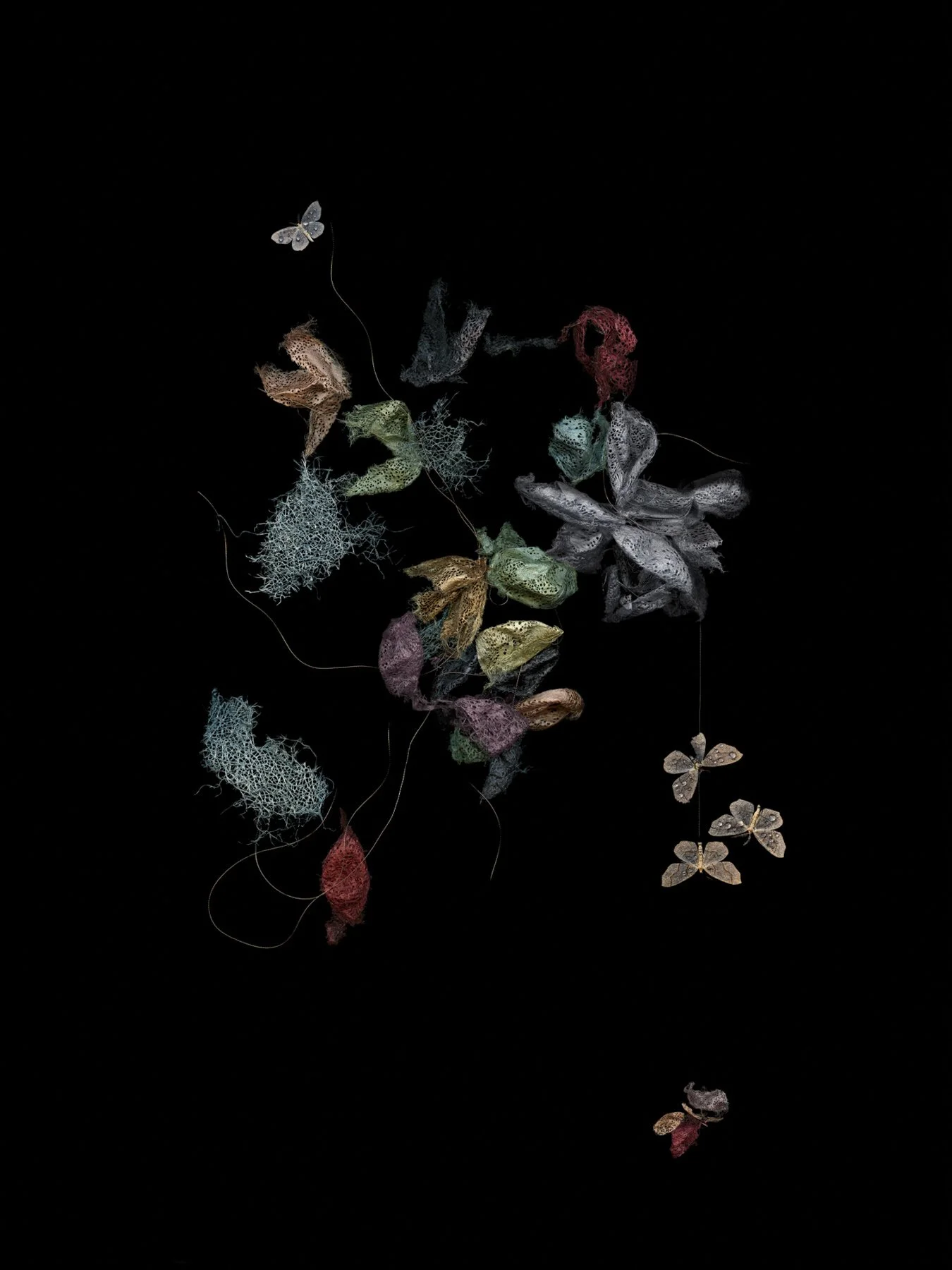 Heart Strings and Soulful Things
Digital Composite Archival Ink Pigment Print
Editions of 3/10/10 +2AP at
56x42, 40x30, 28x21 inches
