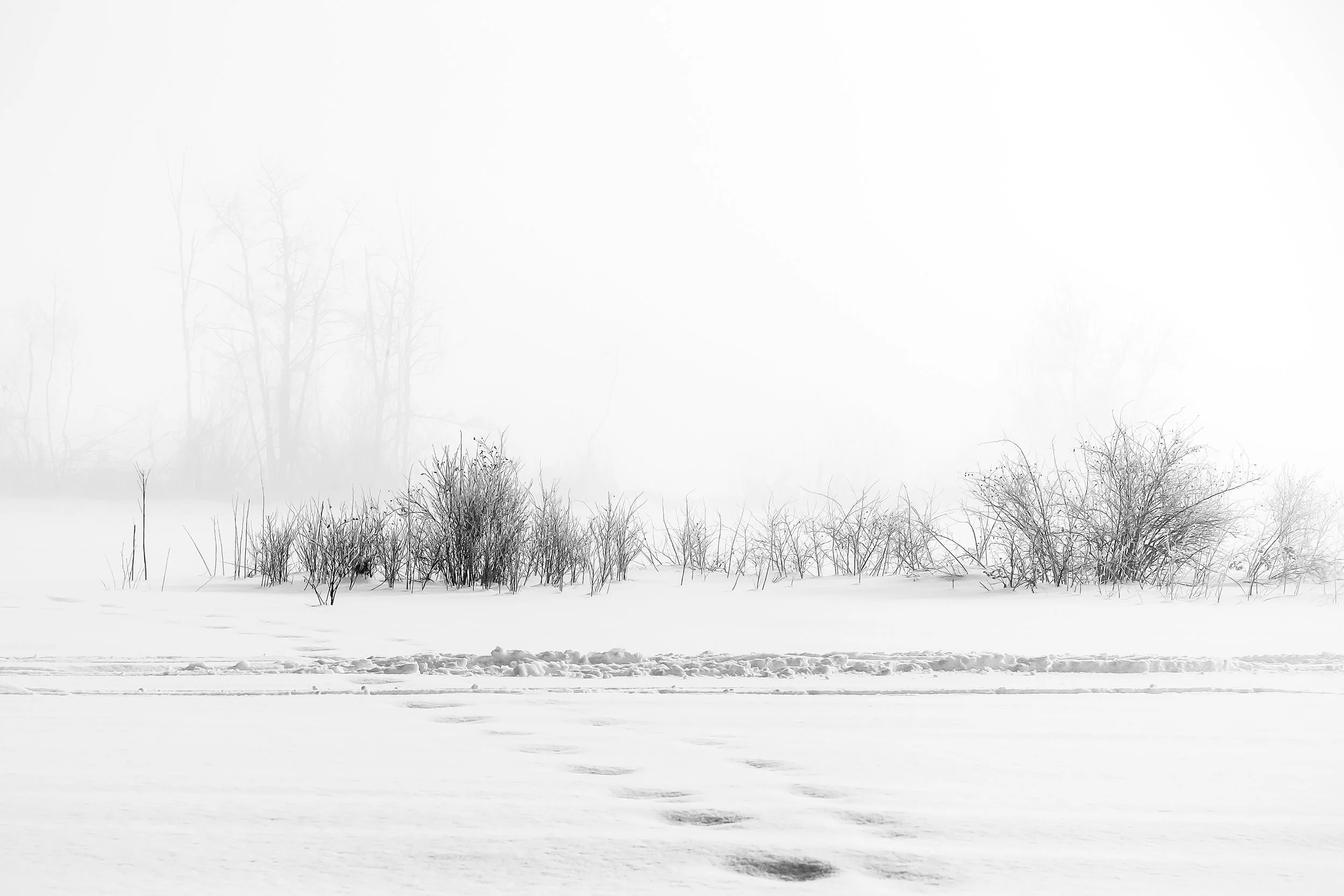 Fading Impressions
Archival Ink Pigment Print
Editions of 3/10/10 +2AP 
at
28x42, 20x30, 16x24 inches
