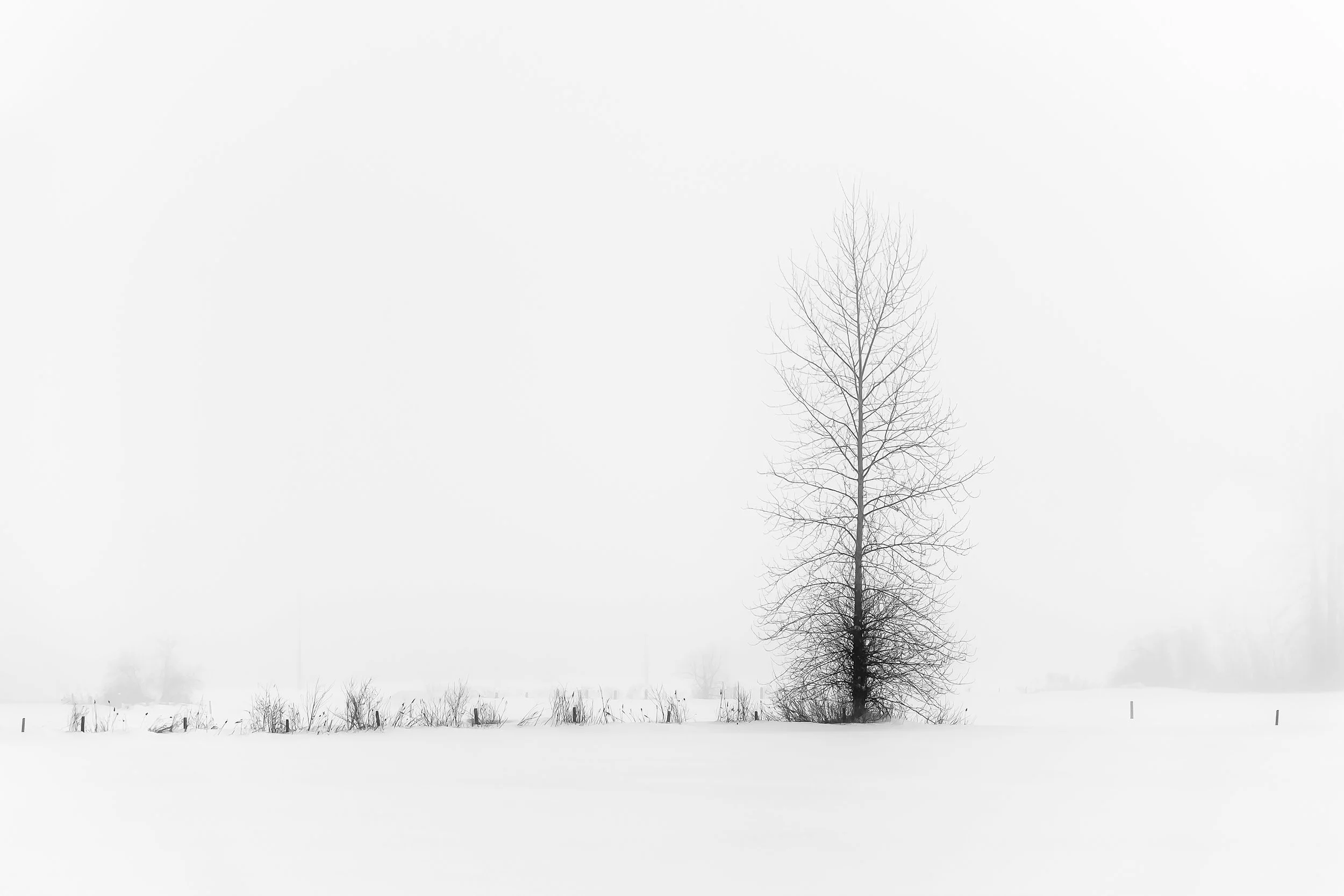 On and On
Archival Ink Pigment Print
Editions of 3/10/10 +2AP at
28x42, 20x30, 16x24 inches
