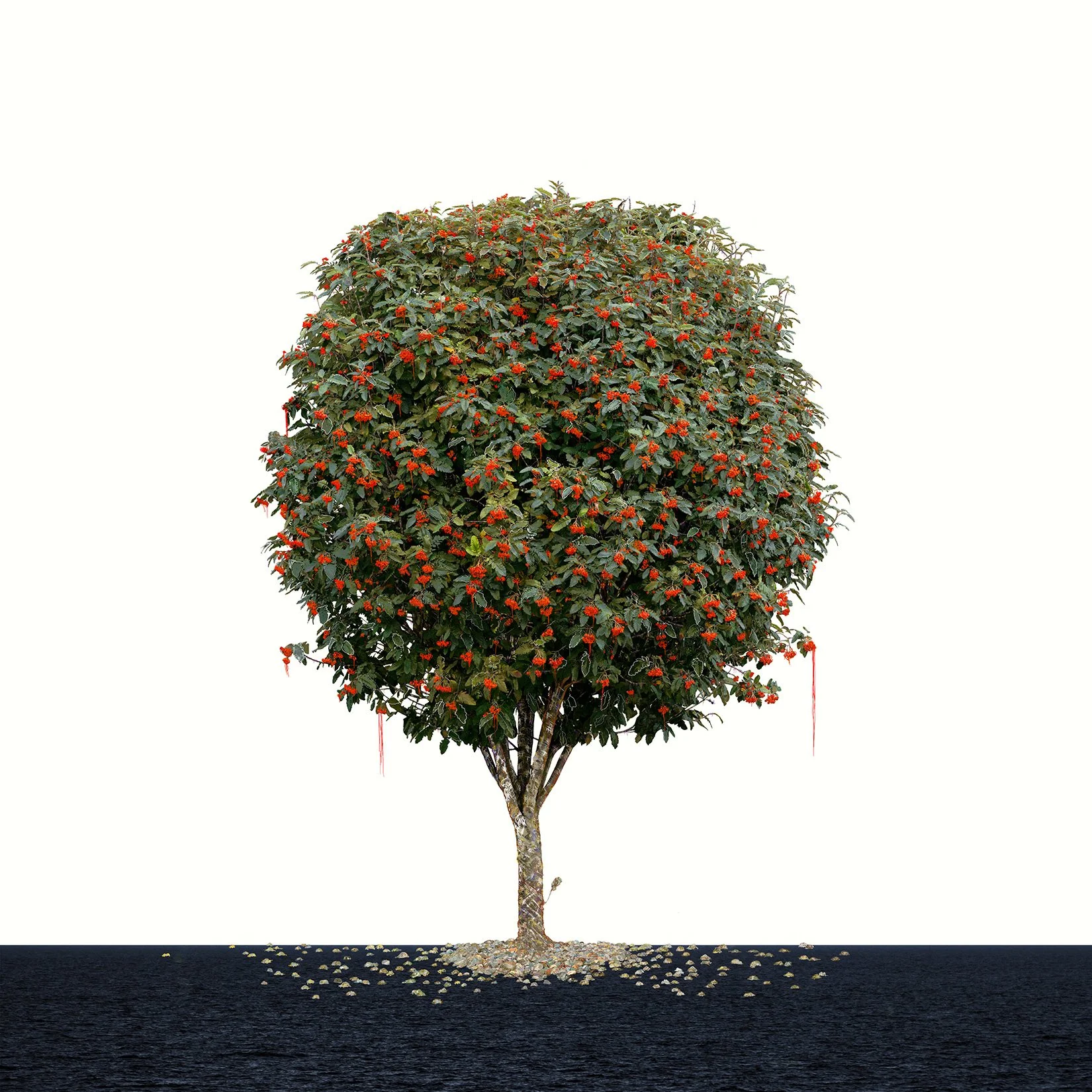 Cherry Cola, Brits and Bows
Digital Composite Archival Ink Pigment Print
Editions at 42x42,36x36,30x30,24x24 inches