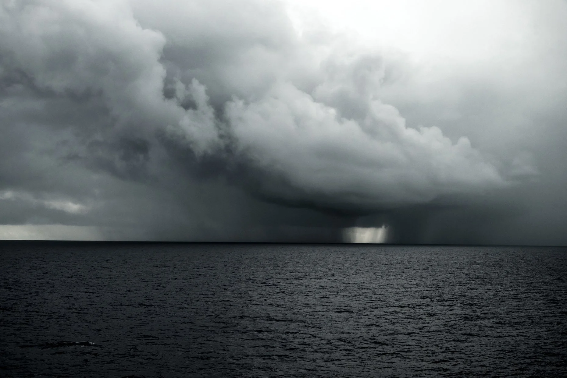 n Dark and Light
Archival Ink Pigment Print
Editions of 3/10/10 +2AP at
28x42, 20x30, 16x24 inches