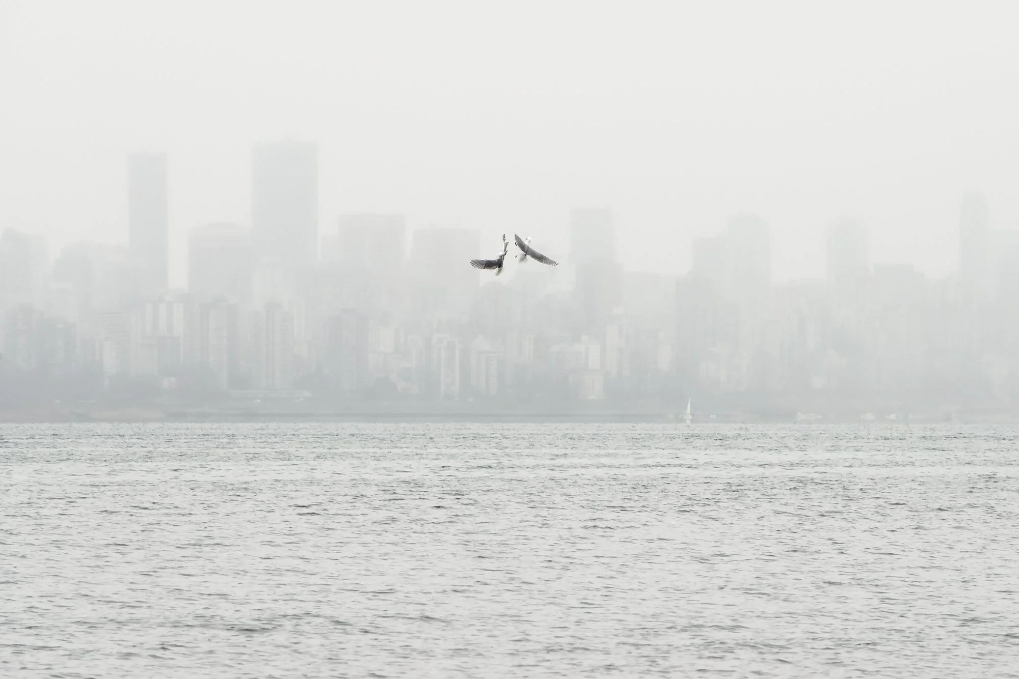 Way Up
Archival Ink Pigment Print
Editions of 3/10/10 +2AP at
28x42, 20x30, 16x24 inches