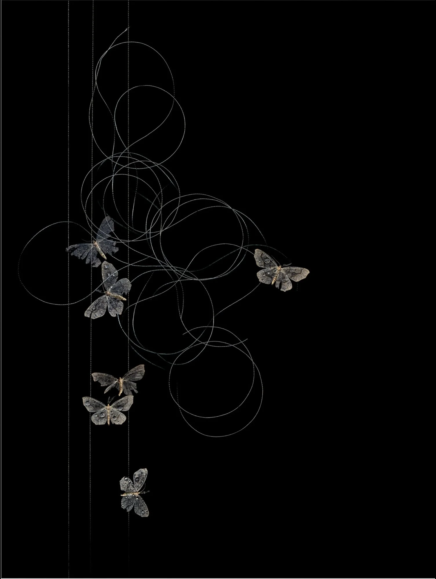
Main Navigation


Gallery



Bare Essentials



The Fine Art of Letting Go



If Memory Was a Layer



Confessions of an Untamed Mind Garden



Architecture of Thought



By a Thread



Good Grief



Additional Series



In Place



Storefront - Sel