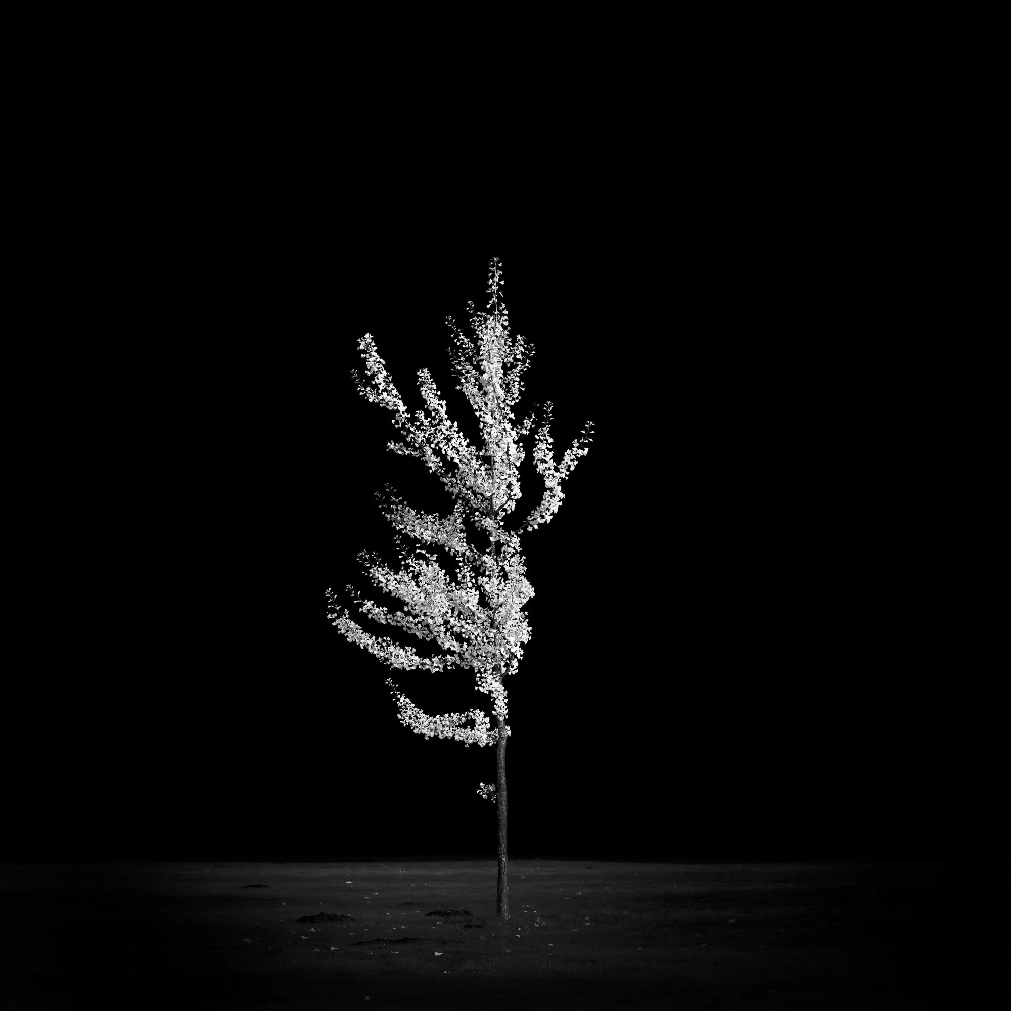 Longing