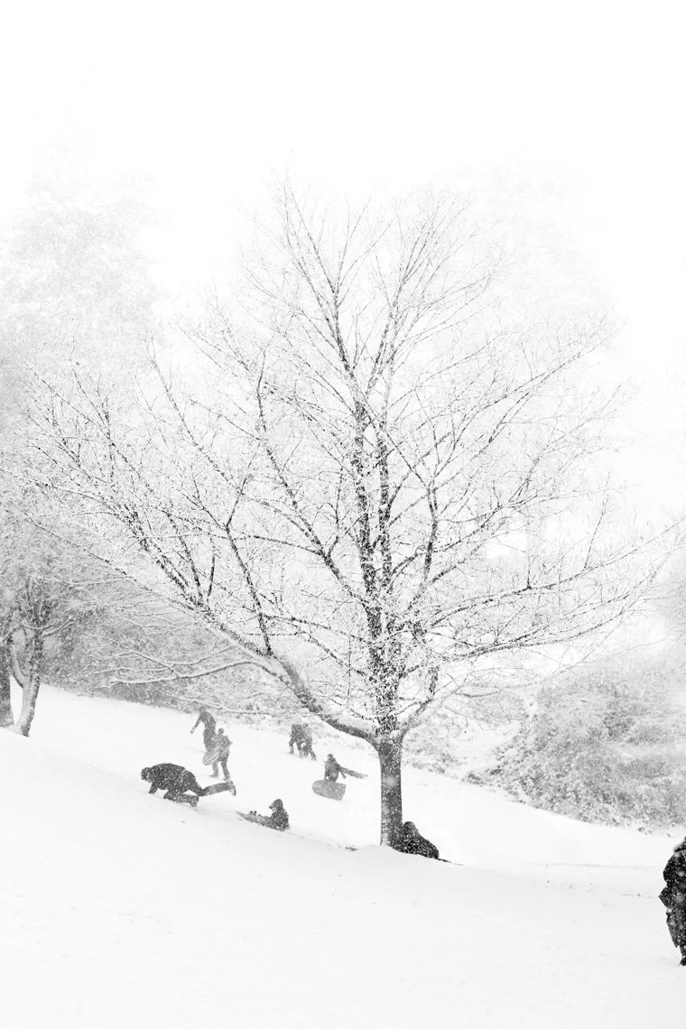 Rise and Fall
Archival Ink Pigment Print
Editions of 3/10/10 +2AP at
42x28, 30x20, 24x16 inches
