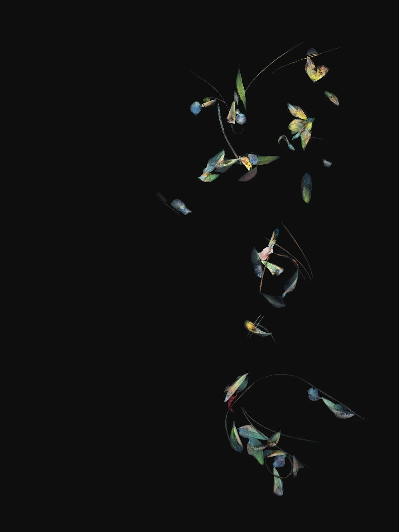 Drifters Scape
Digital Composite Archival Ink Pigment Print
Editions of 3/10/10 at
56x42, 40x30, 28x21 inches