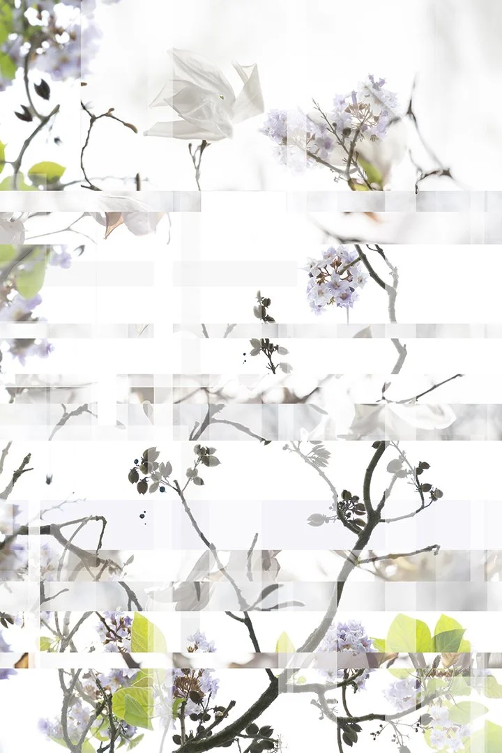 It's All So Liminal
Digital Composite Archival Ink Pigment Print
Editions of 5/5/5/5 +2AP at
36x24, 45x30, 54x36, 60x40 inches