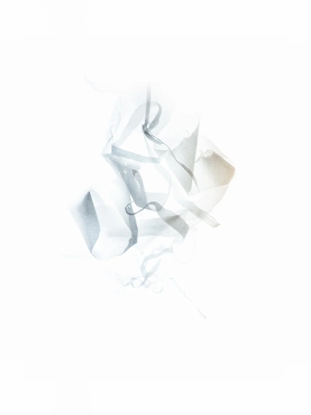 With Or Without You
Digital Composite Archival Ink Pigment Print
Editions of 3/10/10 +2AP at
56x42, 40x30, 28x21 inches
Material: Toilet Paper and Sanitizer