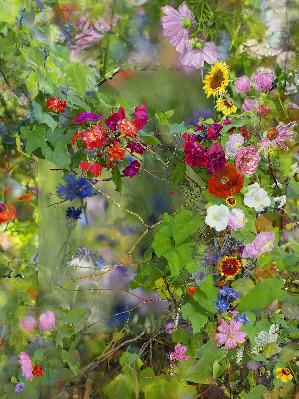Tip Toes and Rabbit Holes
Digital Composite Archival Ink Pigment Print
Editions at
56x42, 48x36, 40x30, 32x24 inches
