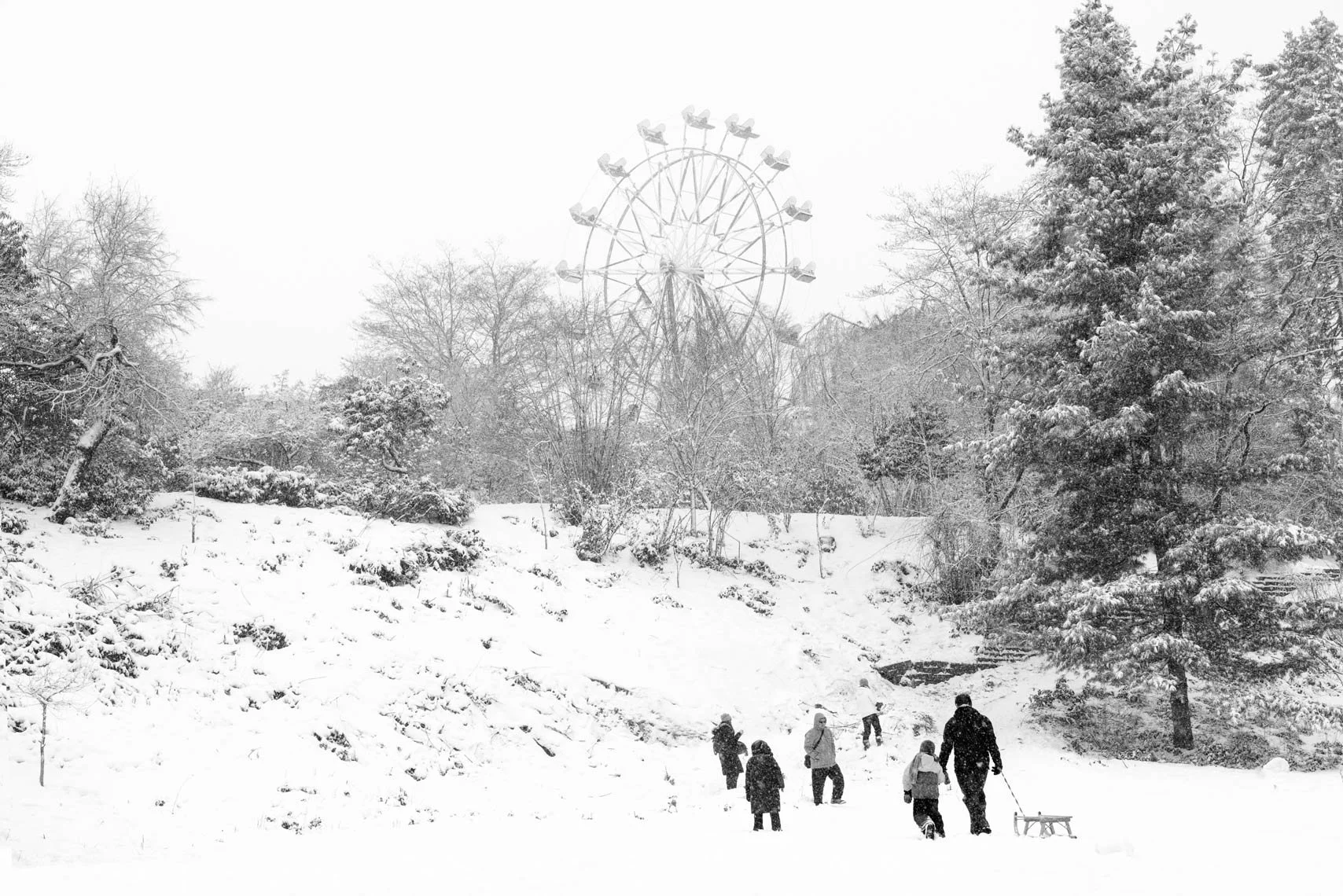 n Memory
Archival Ink Pigment Print
Editions of 3/10/10 +2AP at
28x42, 20x30, 16x24 inches