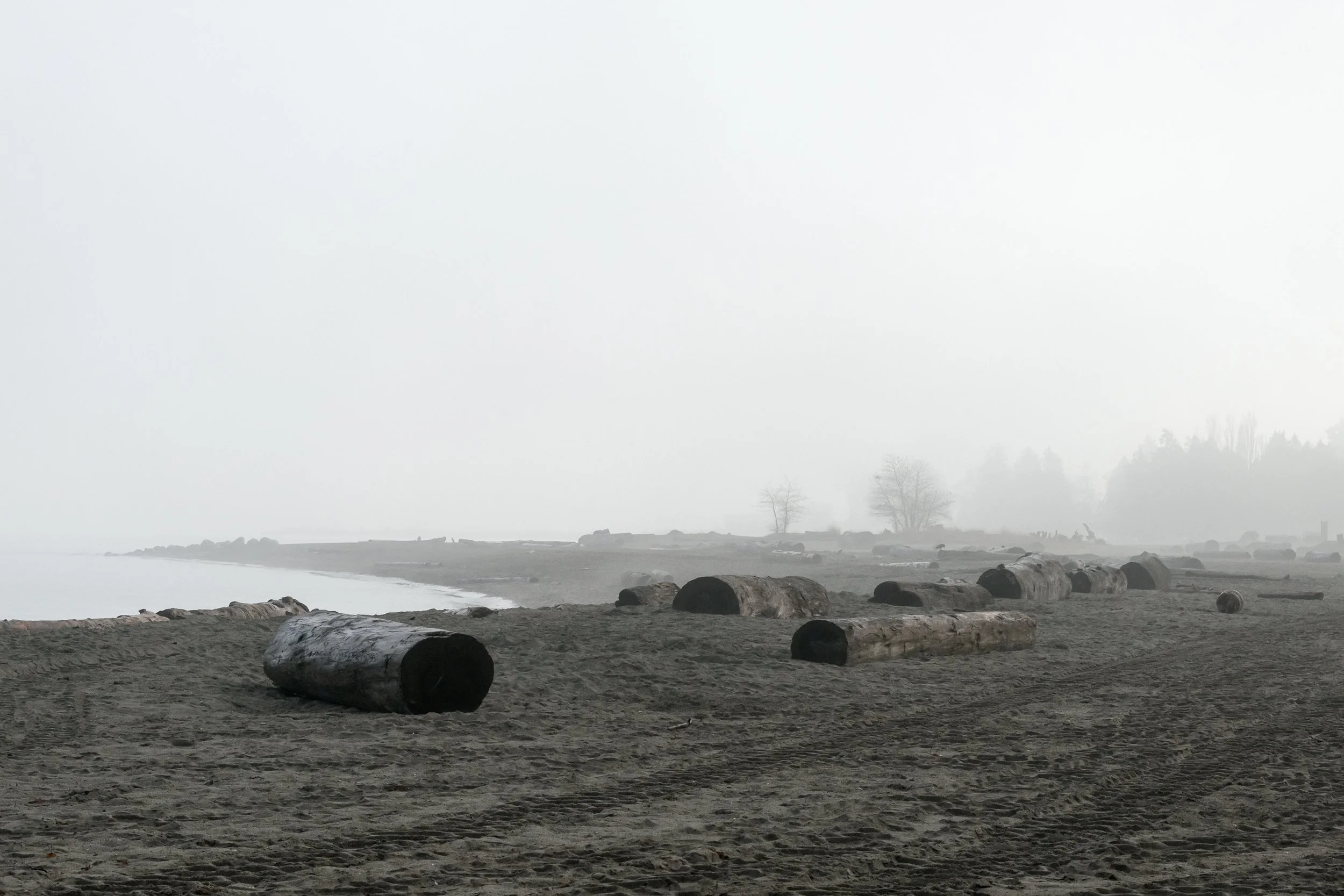 Rested Wakefullness
Archival Ink Pigment Print
Editions of 3/10/10 at
28x42, 20x30, 16x24 inches