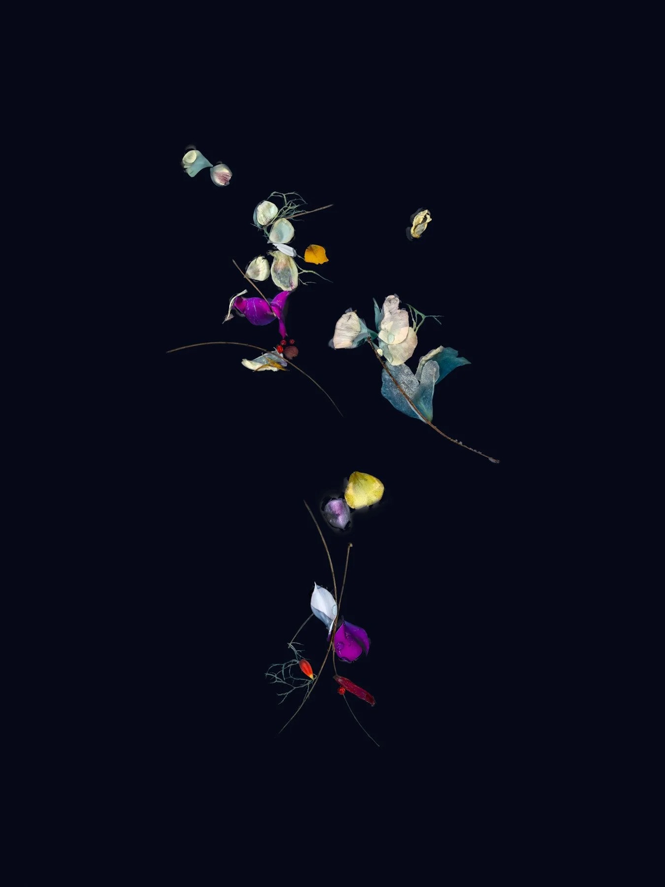 Unravel and Drift
Digital Composite Archival Ink Pigment Print
Editions of 3/10/10 at
56x42, 40x30, 28x21 inches