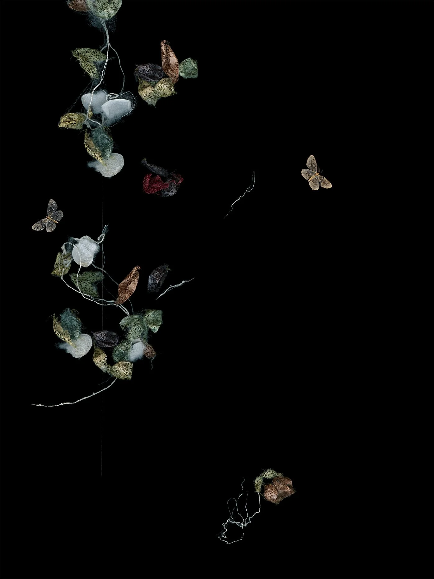 In The Beginning
Digital Composite Archival Ink Pigment Print
Editions of 3/10/10 +2AP at
56x42, 40x30, 28x21 inches