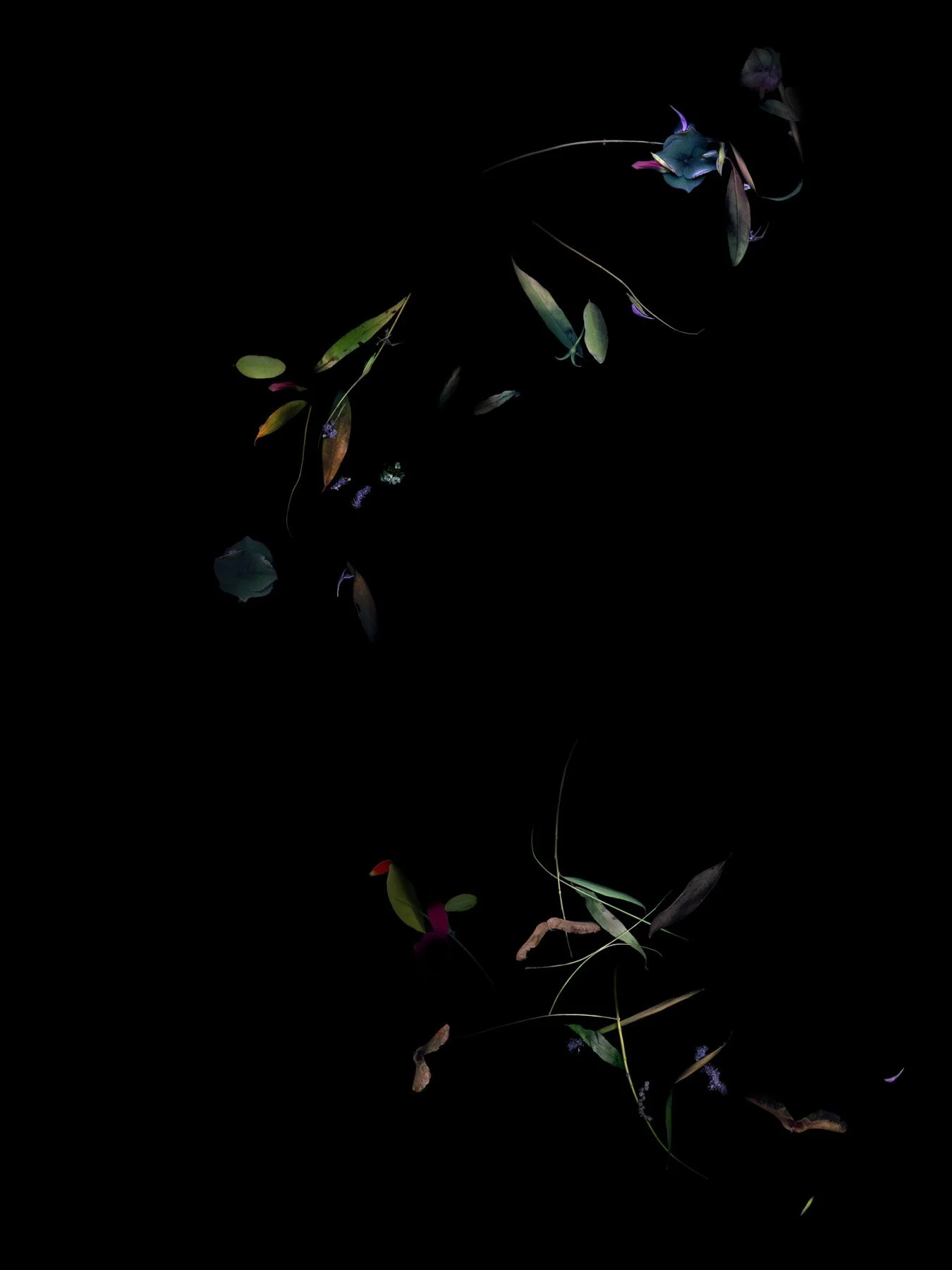 A Time and Place
Digital Composite Archival Ink Pigment Print
Editions of 3/10/10 at
56x42, 40x30, 28x21 inches
