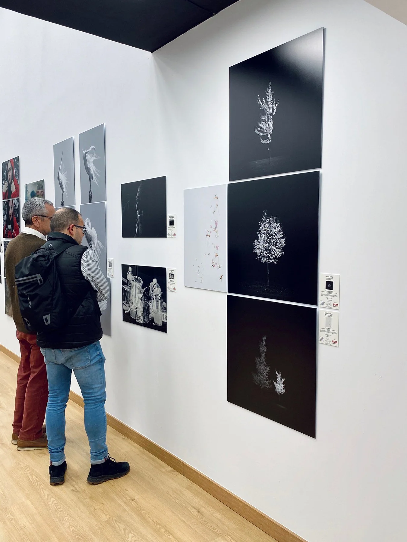 Shock_FotoNostrumGaller_2021.jpg