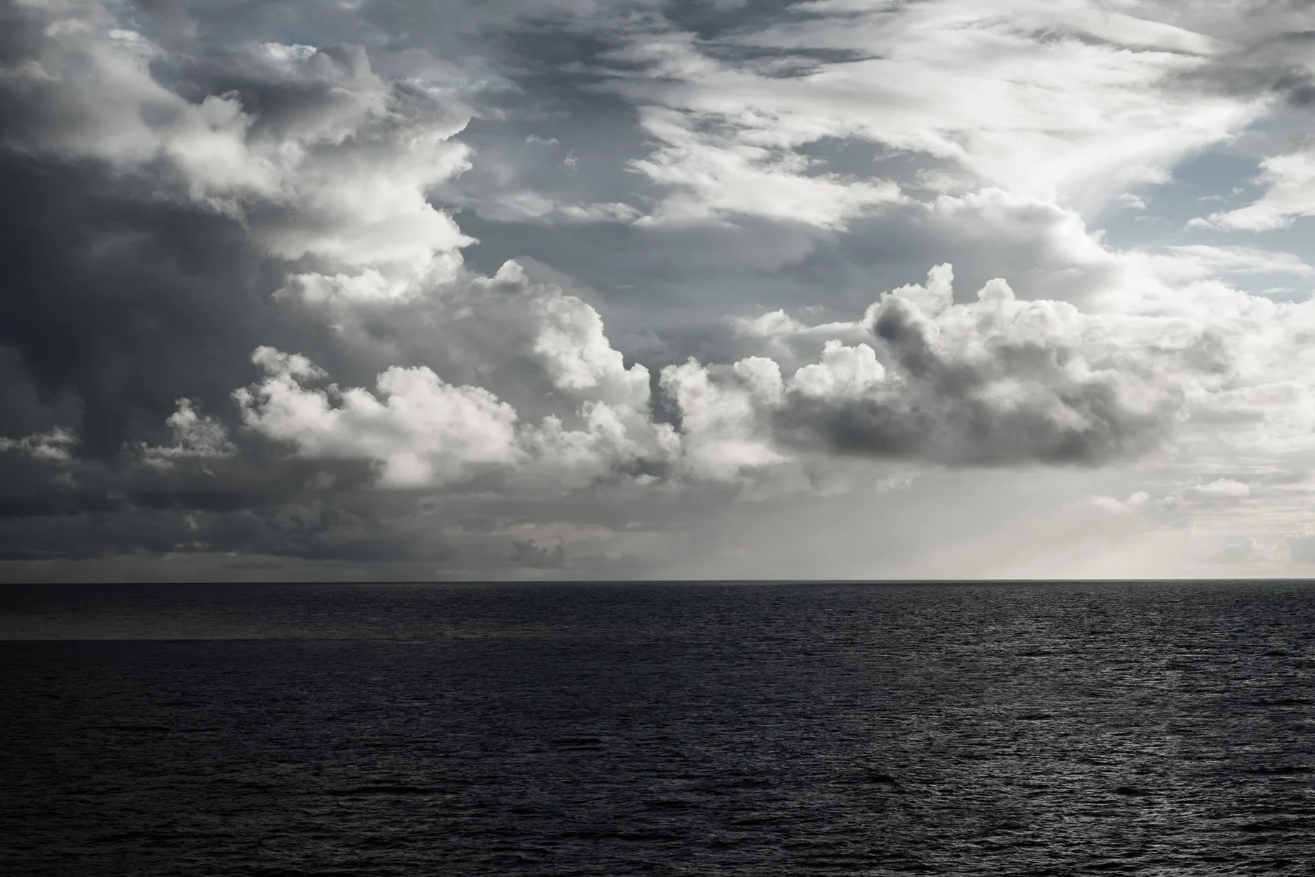 Sway With Me
Archival Ink Pigment Print
Editions of 3/10/10 +AP 
at
28x42, 20x30, 16x24 inches