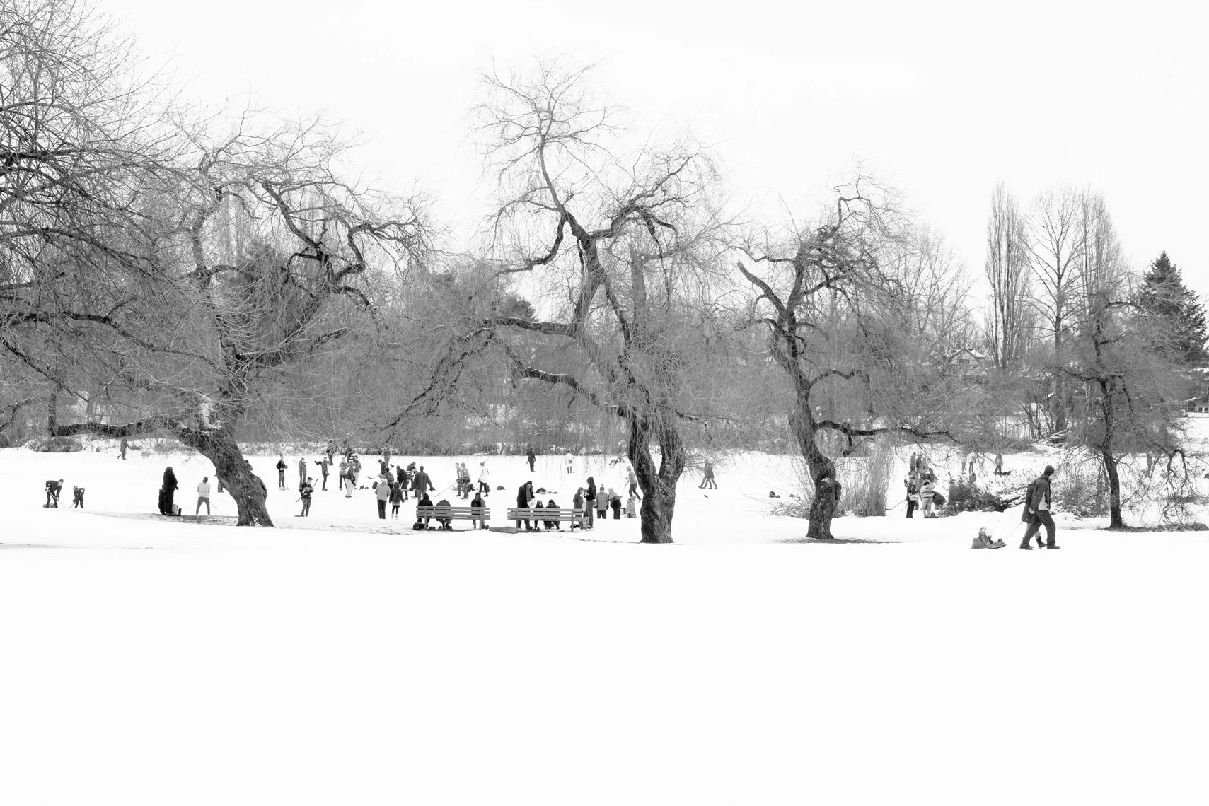 With the People
Archival Ink Pigment Print
Editions of 3/10/10 +2AP at
28x42, 20x30, 16x24 inches