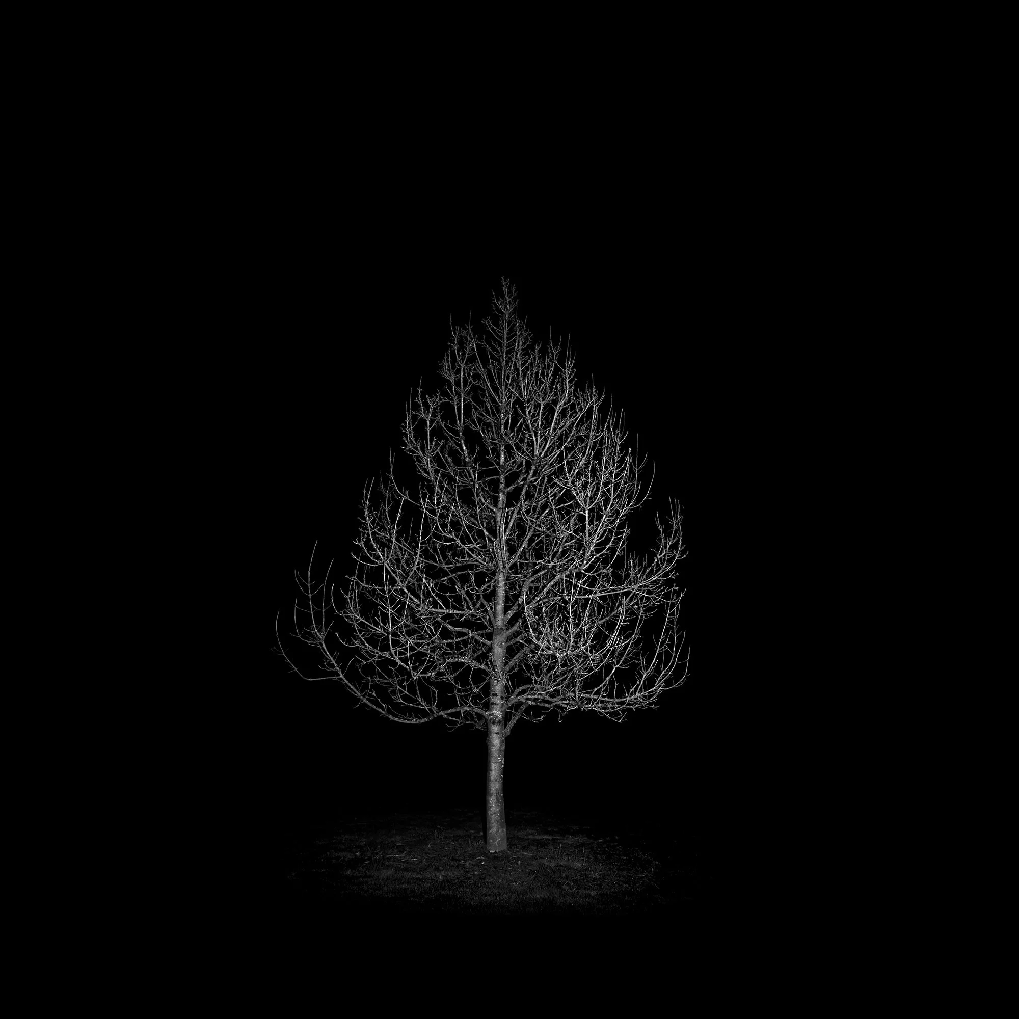 When There Is Nothing Left
Archival Ink Pigment Print
Editions of 3/10/10 +2AP at
40x40, 30x30, 20x20 inches