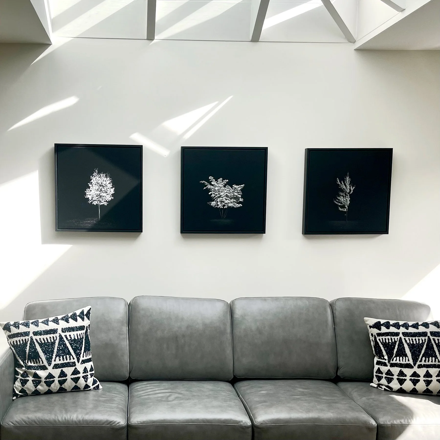 Shock_SouthlandsResidence_2024.jpg