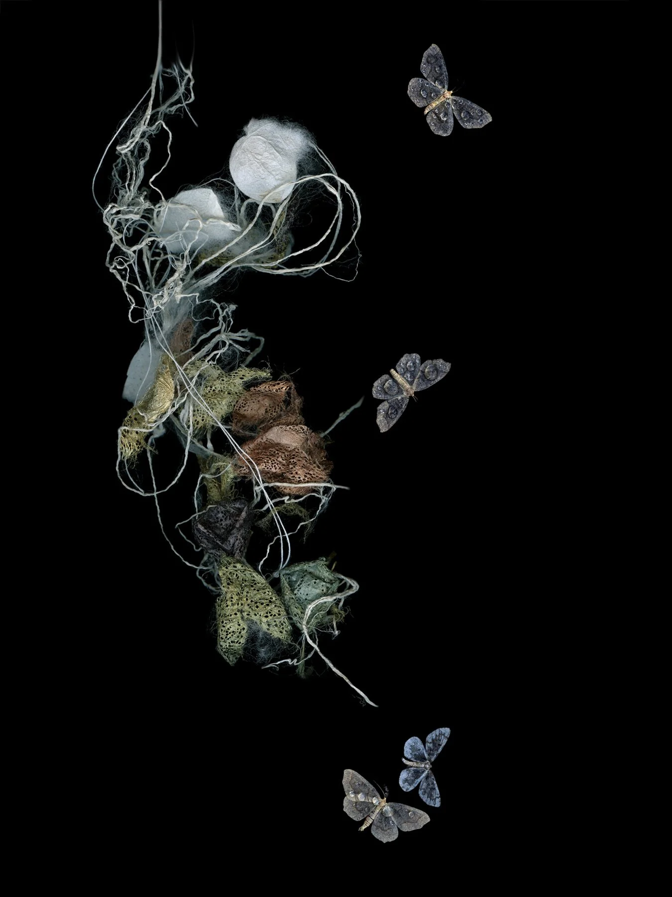 Looking At Me
Digital Composite Archival Ink Pigment Print
Editions of 3/10/10 +2AP at
56x42, 40x30, 28x21 inches