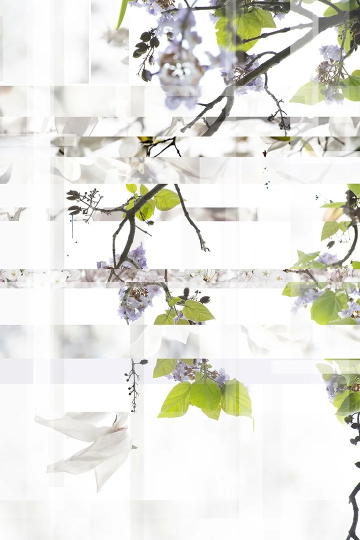 Deviated Wanderlust
Digital Composite Archival Ink Pigment Print
Editions of 5/5/5/5 +2AP at 
36x24, 45x30, 54x36, 60x40 inches