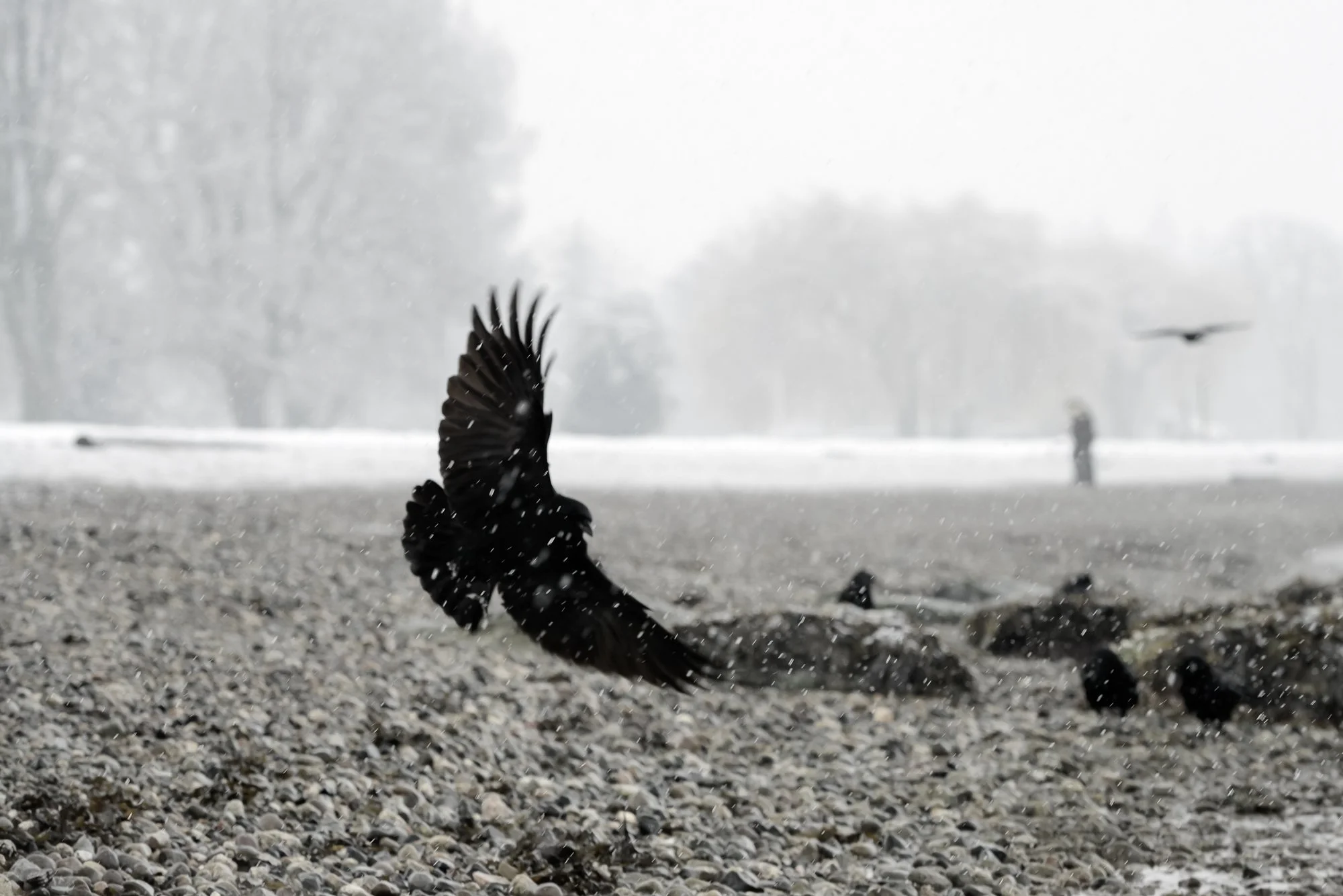 Release
Archival Ink Pigment Print
Editions of 3/10/10 2AP at
28x42, 20x30, 16x24 inches