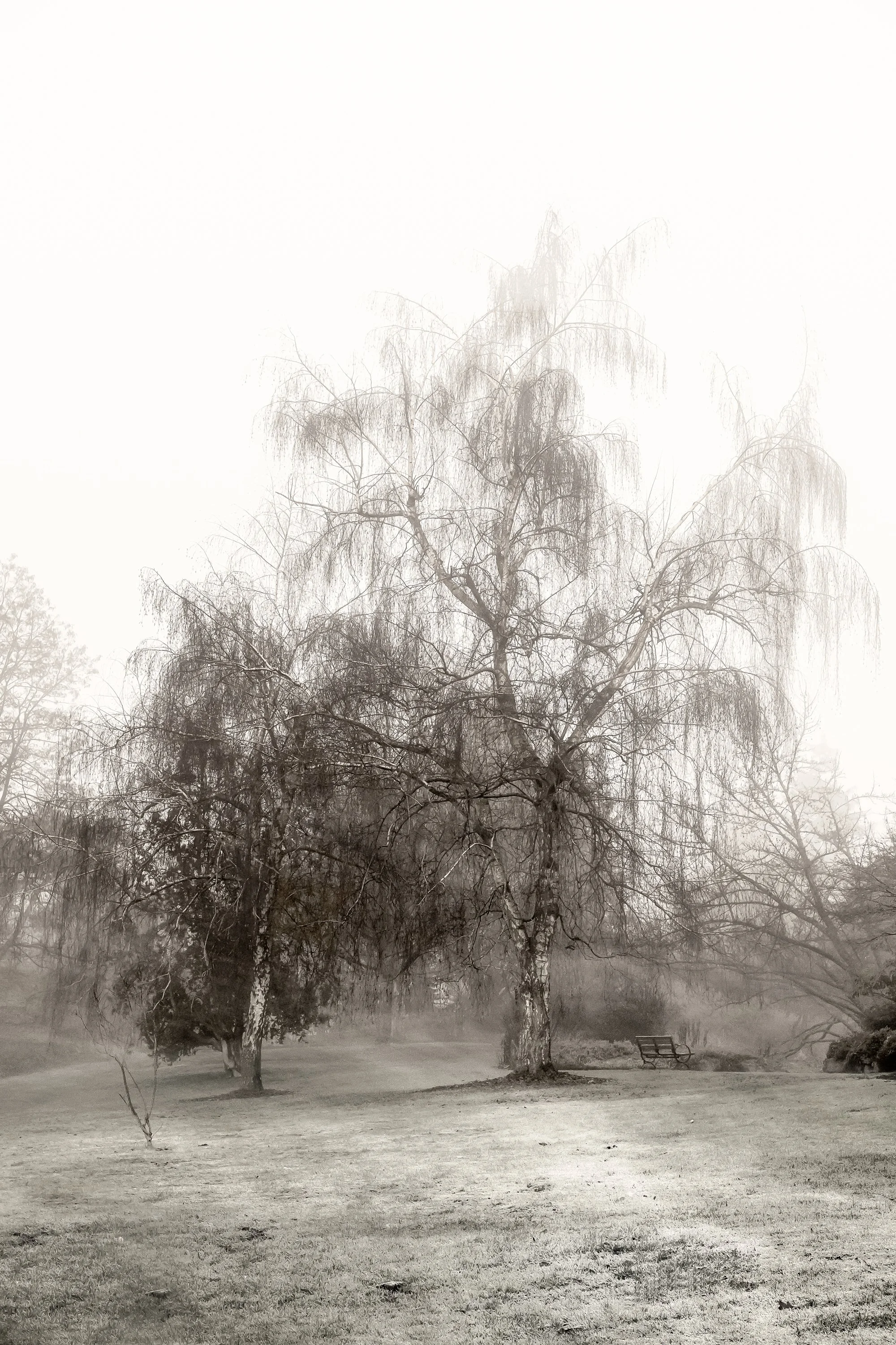 The Letdown
Archival Ink Pigment Print
Editions of 3/10/10 +2AP at
42x28, 30x21, 24x16 inches
