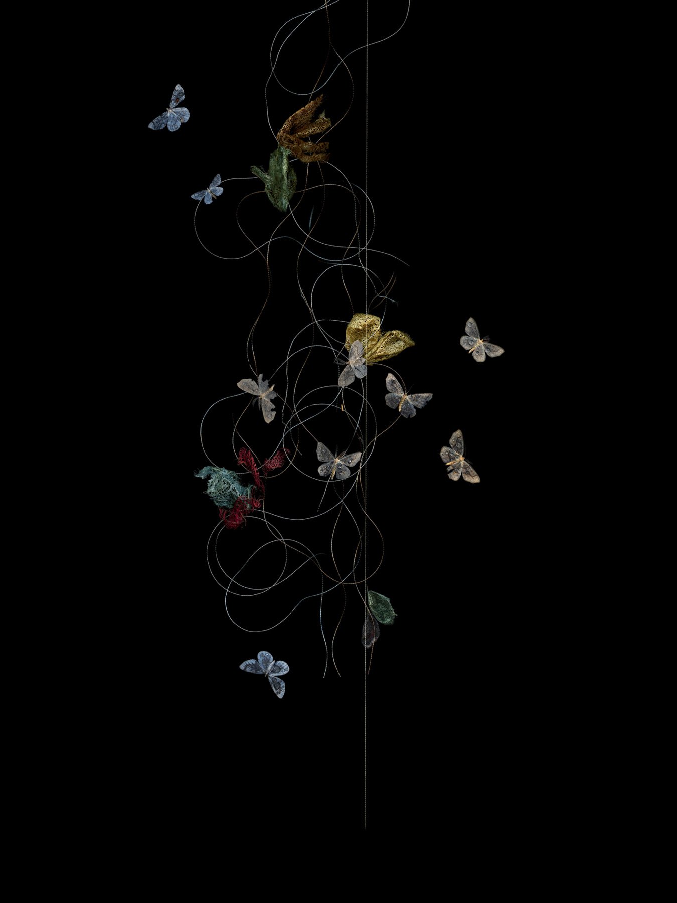 Rise and Shine
Digital Composite Archival Ink Pigment Print
Editions of 3/10/10 +2AP at 
56x42, 40x30, 28x21 inches

