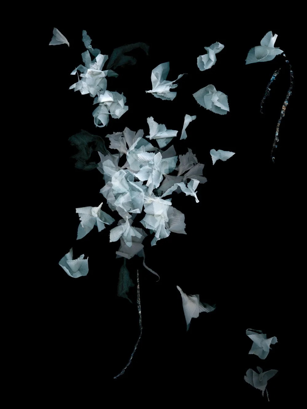 Look At Me
Digital Composite Archival Ink Pigment Print
Editions of 3/10/10 +2AP at
56x42, 40x30, 28x21 inches
Materials: Paper Towel