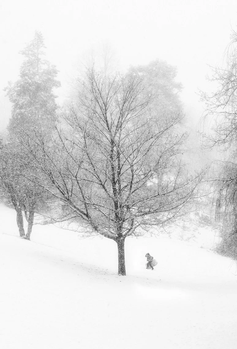 Moving on Up
Archival Ink Pigment Print
Editions of 3/10/10 +2AP at
42x28, 30x20, 24x16 inches
