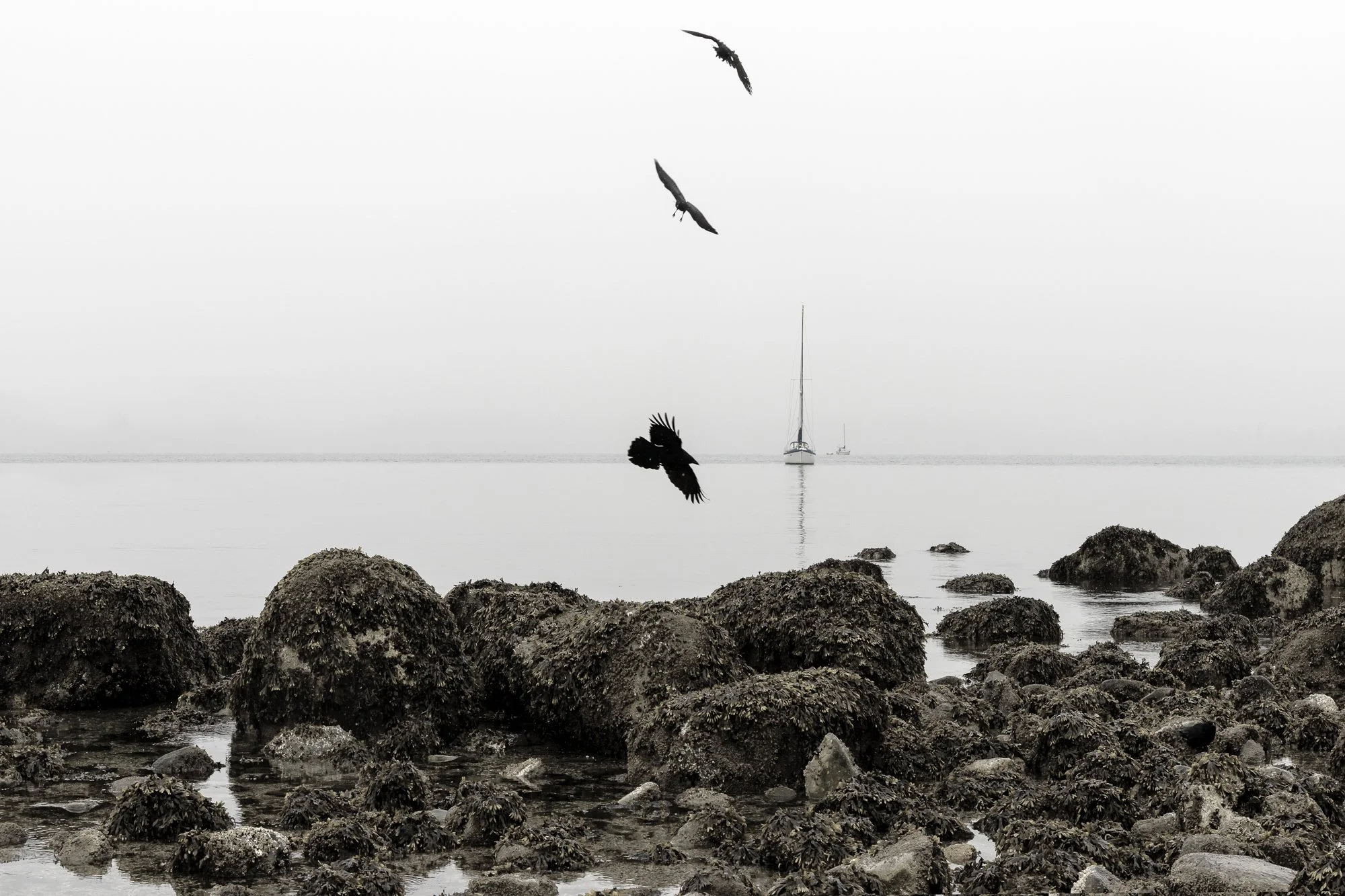 Way Up
Archival Ink Pigment Print
Editions of 3/10/10 +2AP at
28x42, 20x30, 16x24 inches