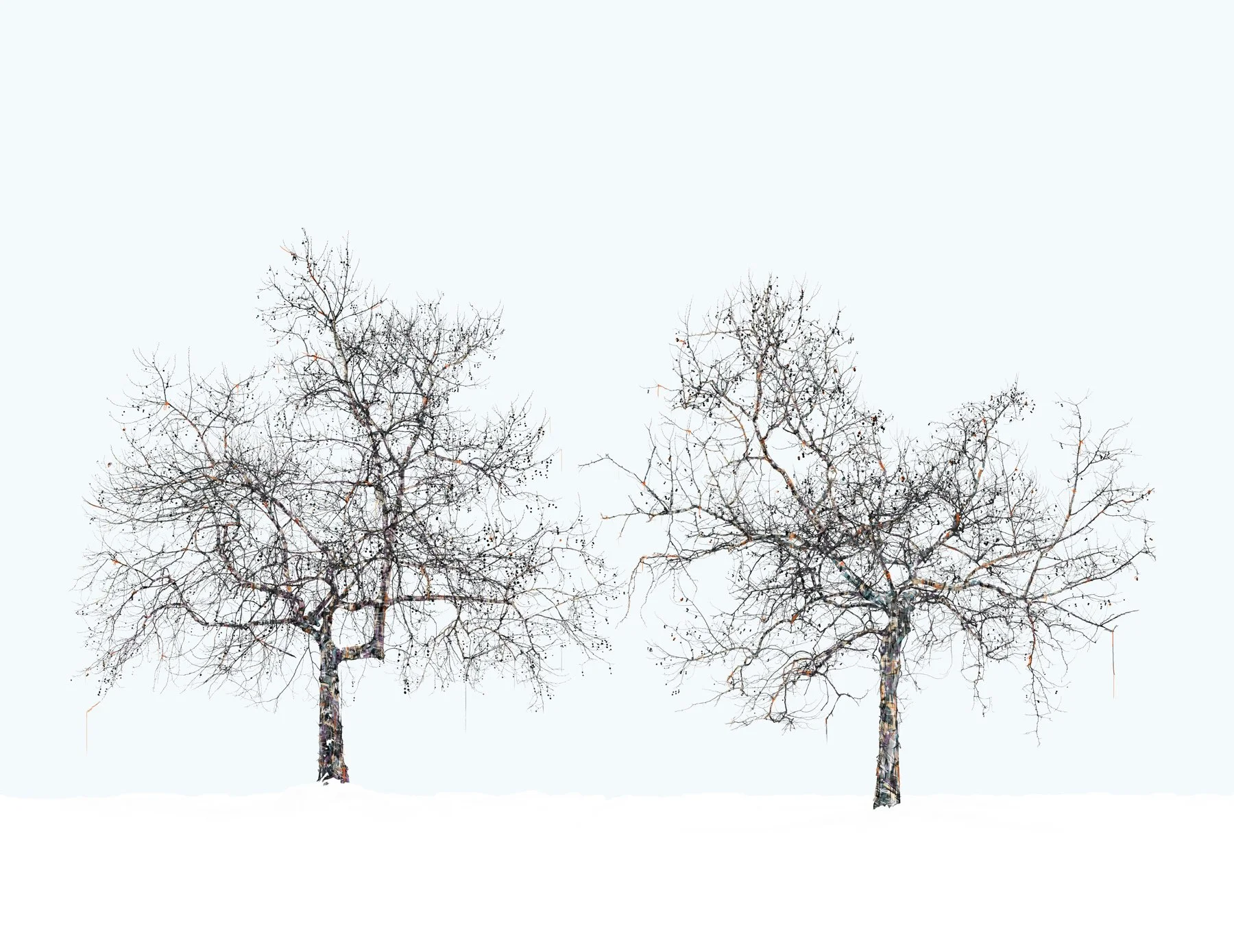 Every Colour Goes Where You Do
Digital Composite Archival Ink Pigment Print
Editions at 42x56,36x48,30x40,24x32 inches
