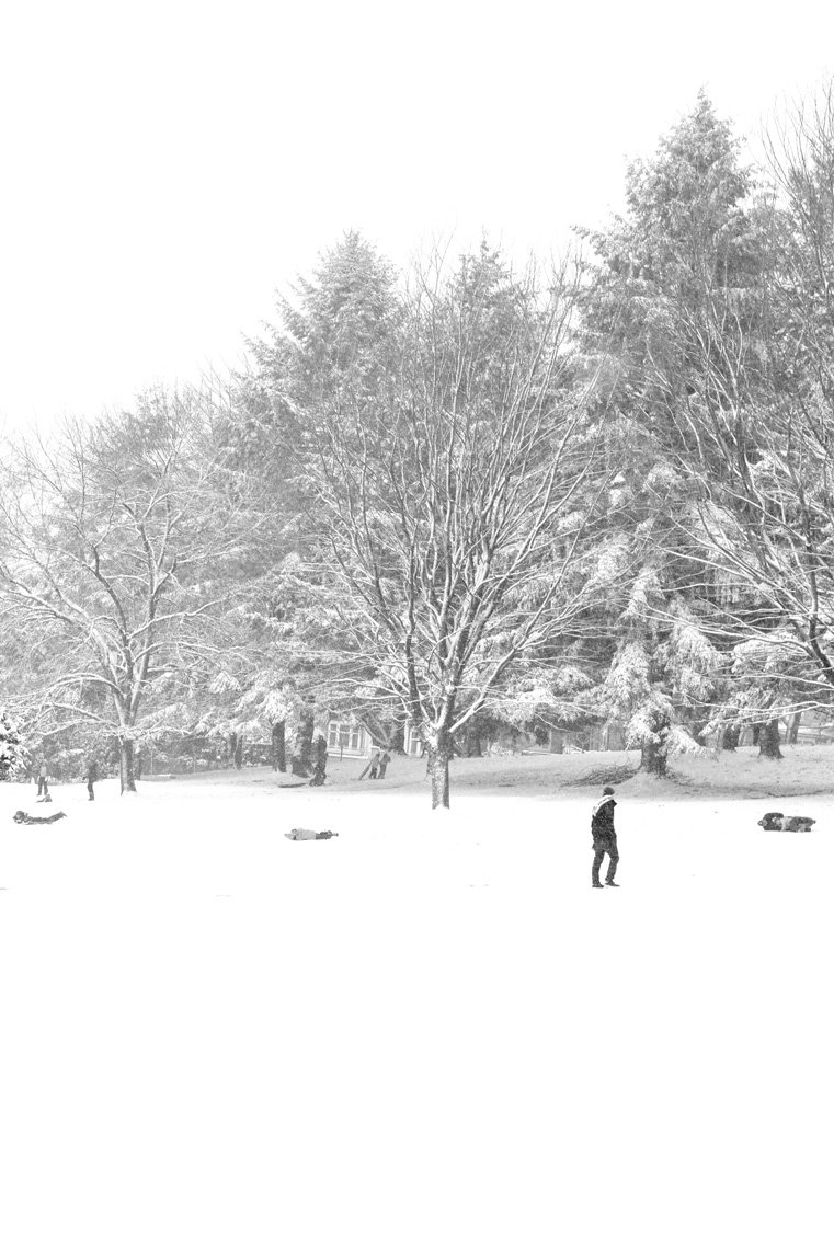 Stop, Walk and Roll
Archival Ink Pigment Print
Editions of 3/10/10 +2AP 
at
42x28, 30x20, 24x16 inches