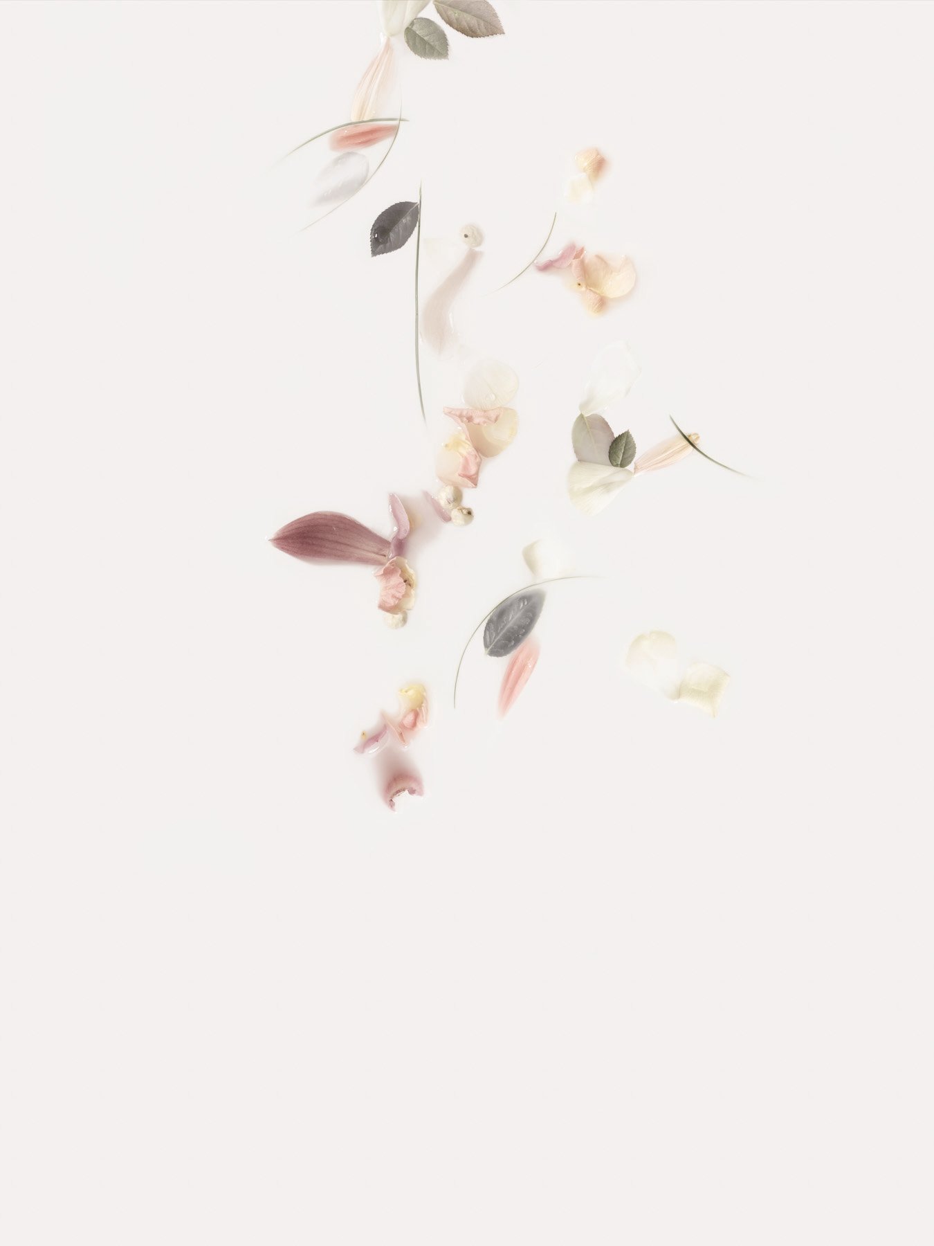 Reign Down
Digital Composite Archival Ink Pigment Print
Editions of 3/10/10 at
56x42, 40x30, 28x21 inches