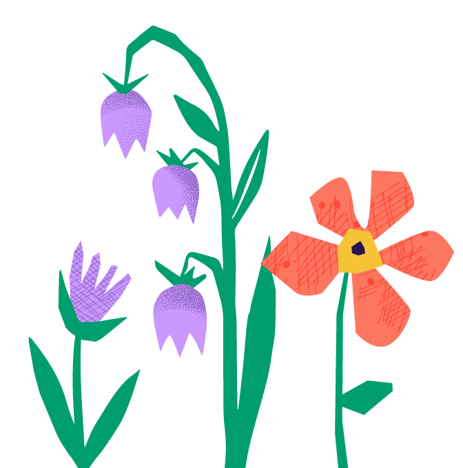 Illustration of purple bell-shaped flowers with green stems and leaves, and an orange-red flower with a yellow center on a black background.