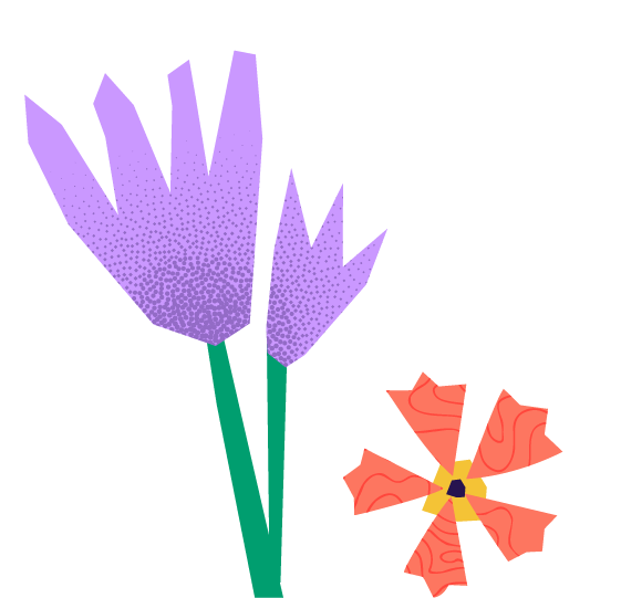 Digital illustration of a purple flower with green stem and a coral petal flower with a yellow center