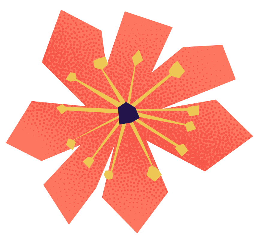 A stylized digital illustration of a flower with coral-colored petals, a dark center, and yellow geometric lines and shapes extending from the center to the petals.
