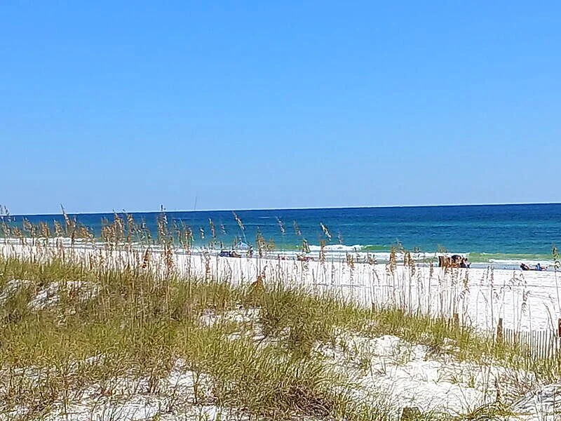 dunes.jpg