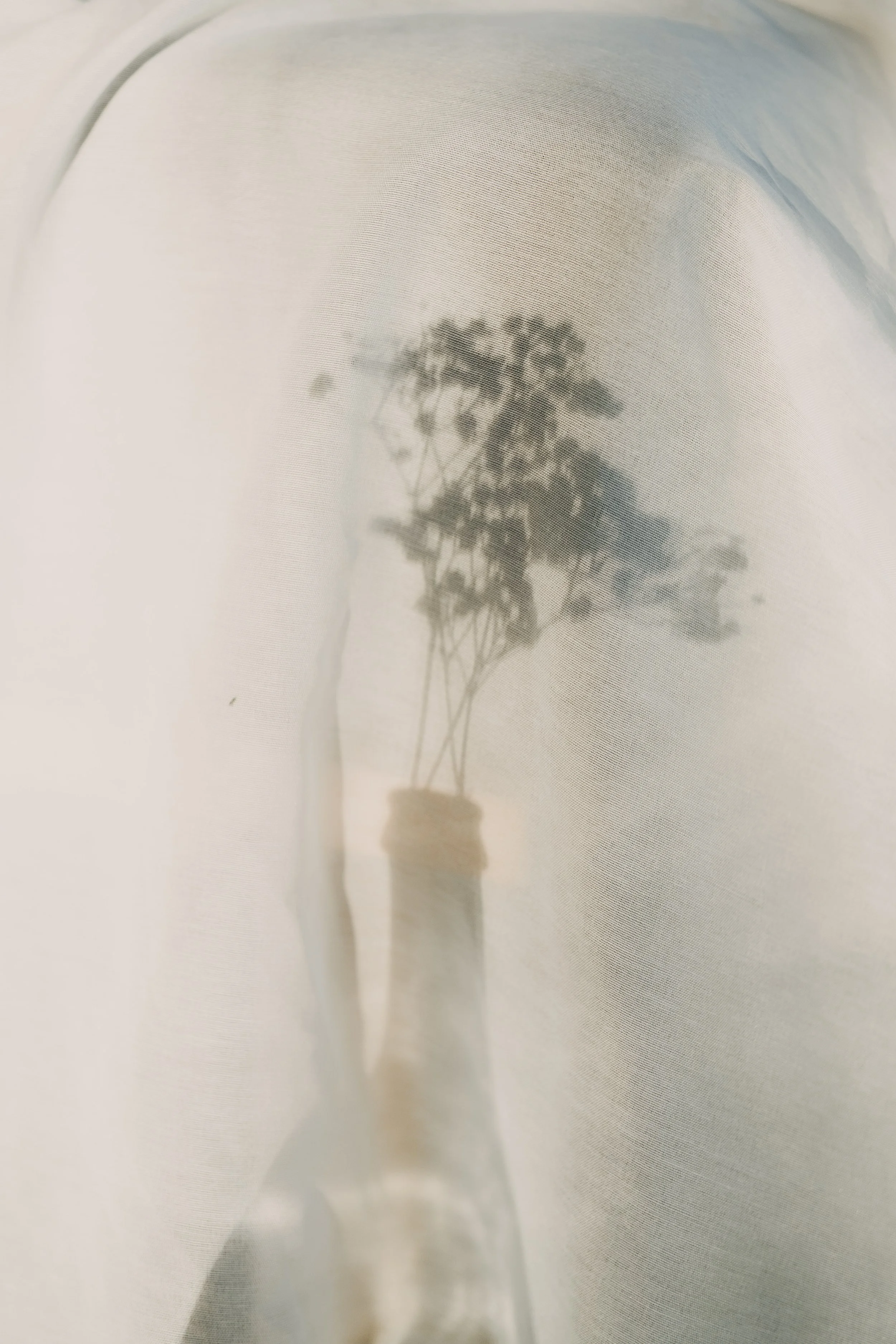 A shadow of a person holding a jar of flowers is cast on a semi-transparent fabric or curtain.