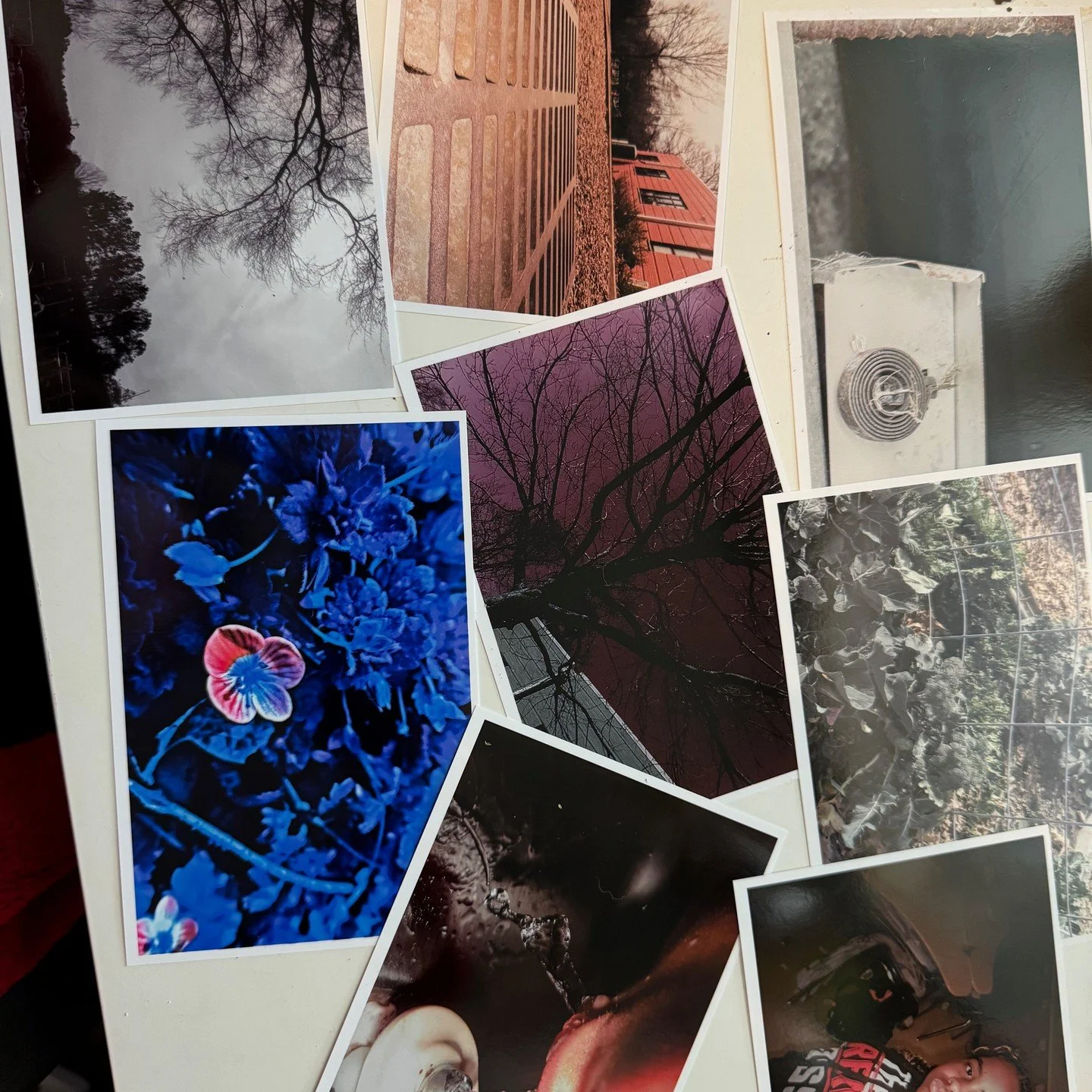 Kids see the world in an incredible way and they blow my mind. Look at their work from my most recent photography club! I'm teaching a few classes at the @artscenterlive in Carrboro this spring and I'm SO EXCITED. No lie, my students take INCREDIBLE 