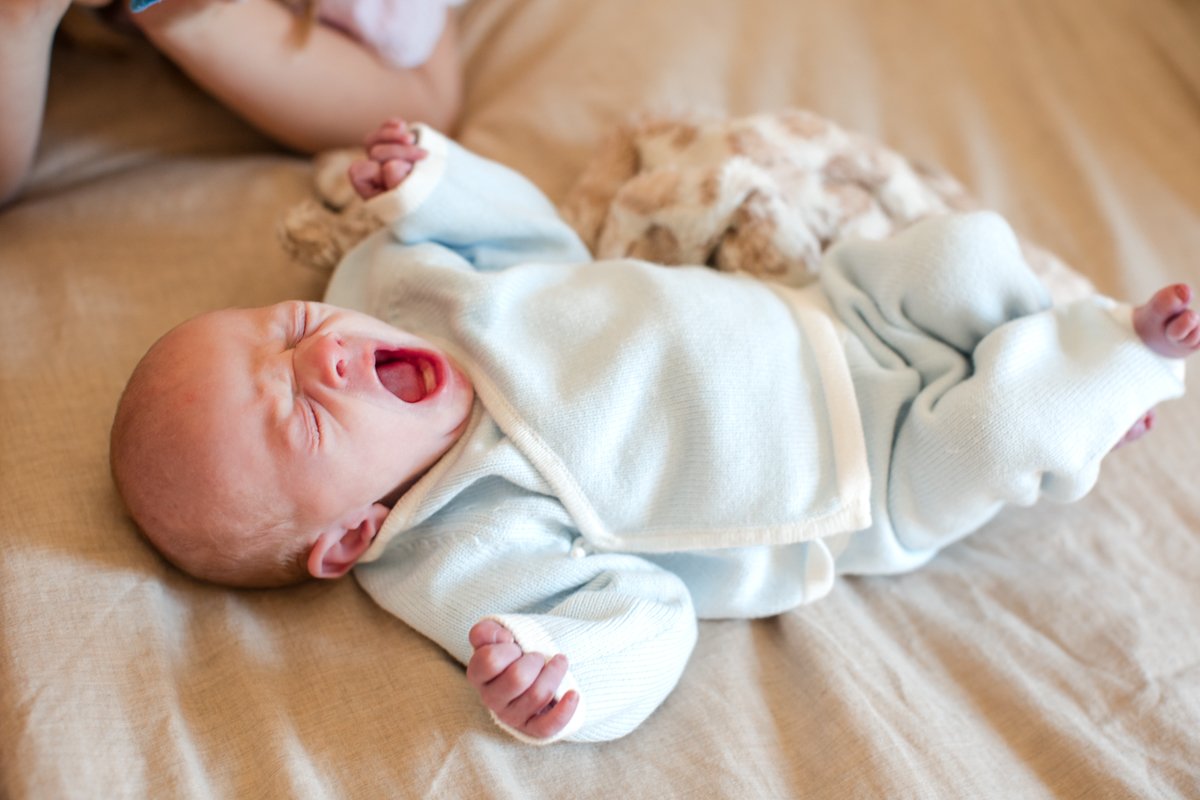 Little_wild_light_durham_family_school_photographer-0250.jpg