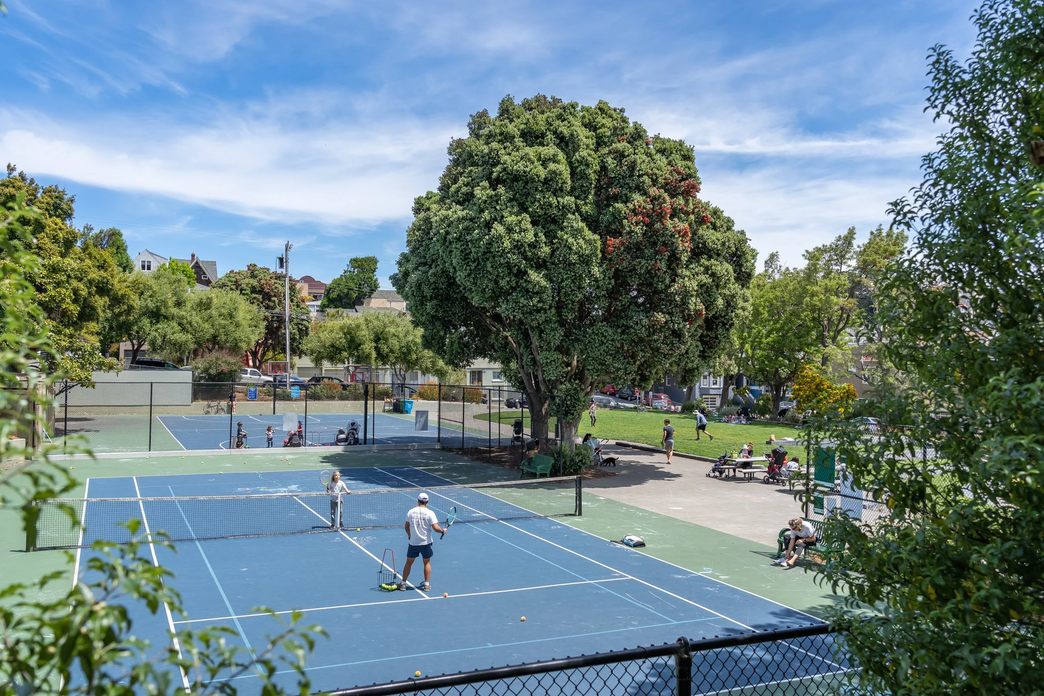A park with two tennis courts, some people playing, a large tree, and a grassy area with benches and people sitting. Residential houses and parked cars are in the background.